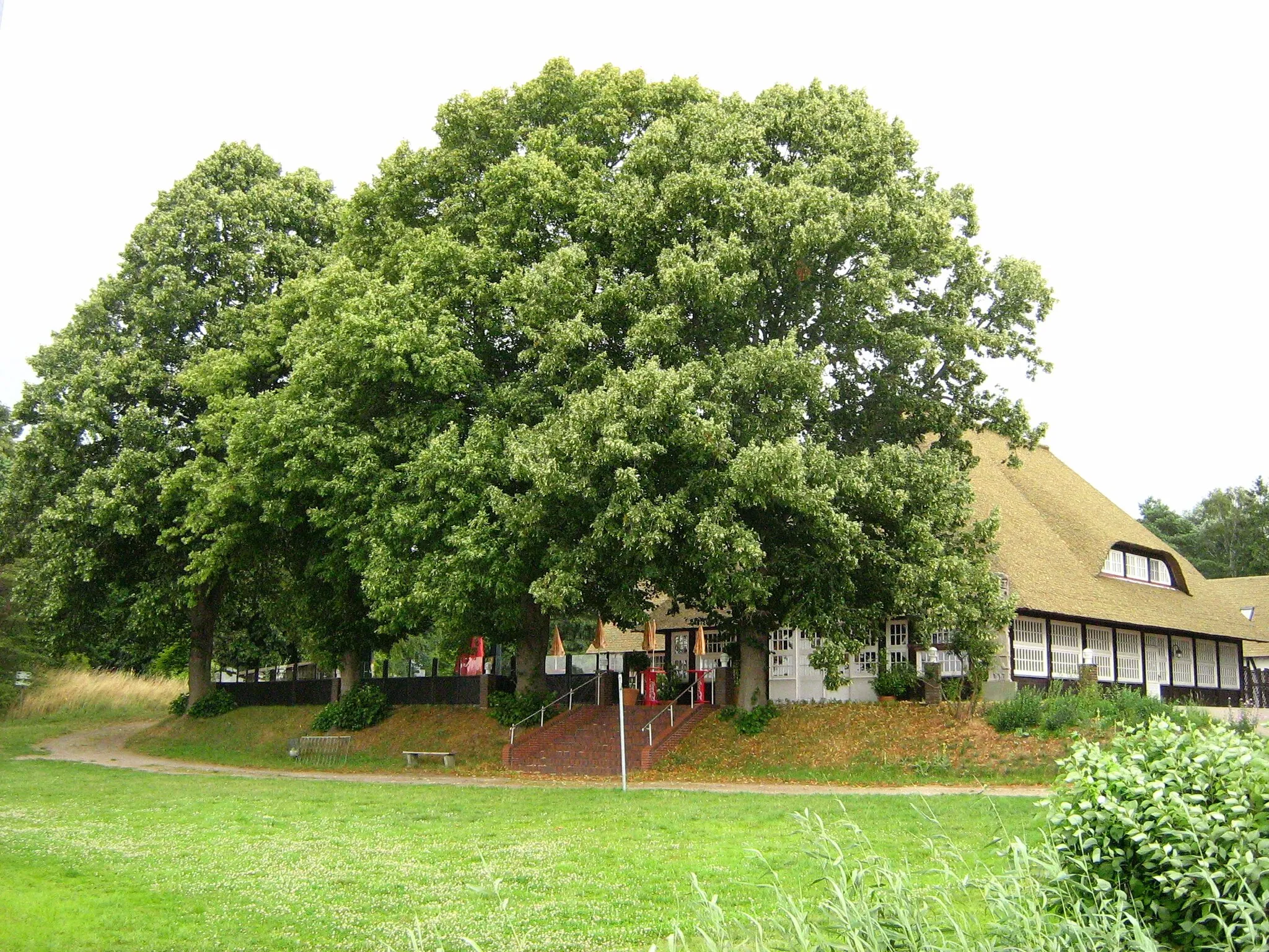 Photo showing: Der Wendenkrug, eine Restauration auf der Burgwallinsel im Teterower See (Landkreis Güstrow, Mecklenburg).