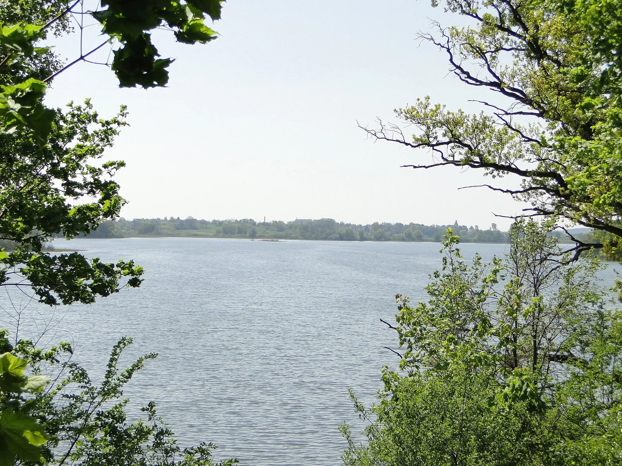 Photo showing: Dammsee, view from church in Hildebrandshagen, district Mecklenburg-Strelitz, Mecklenburg-Vorpommern, Germany