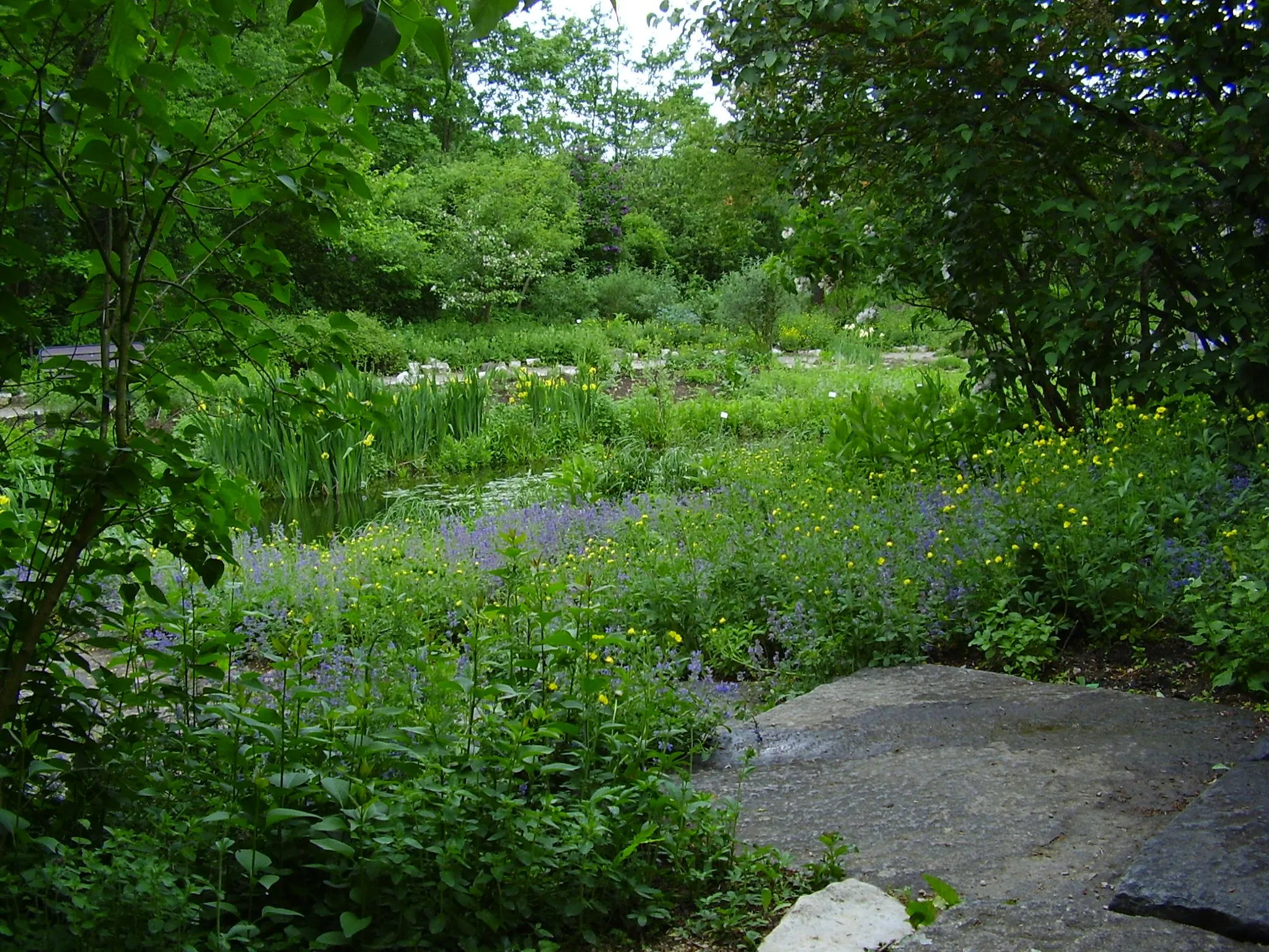 Photo showing: Aroma Garden