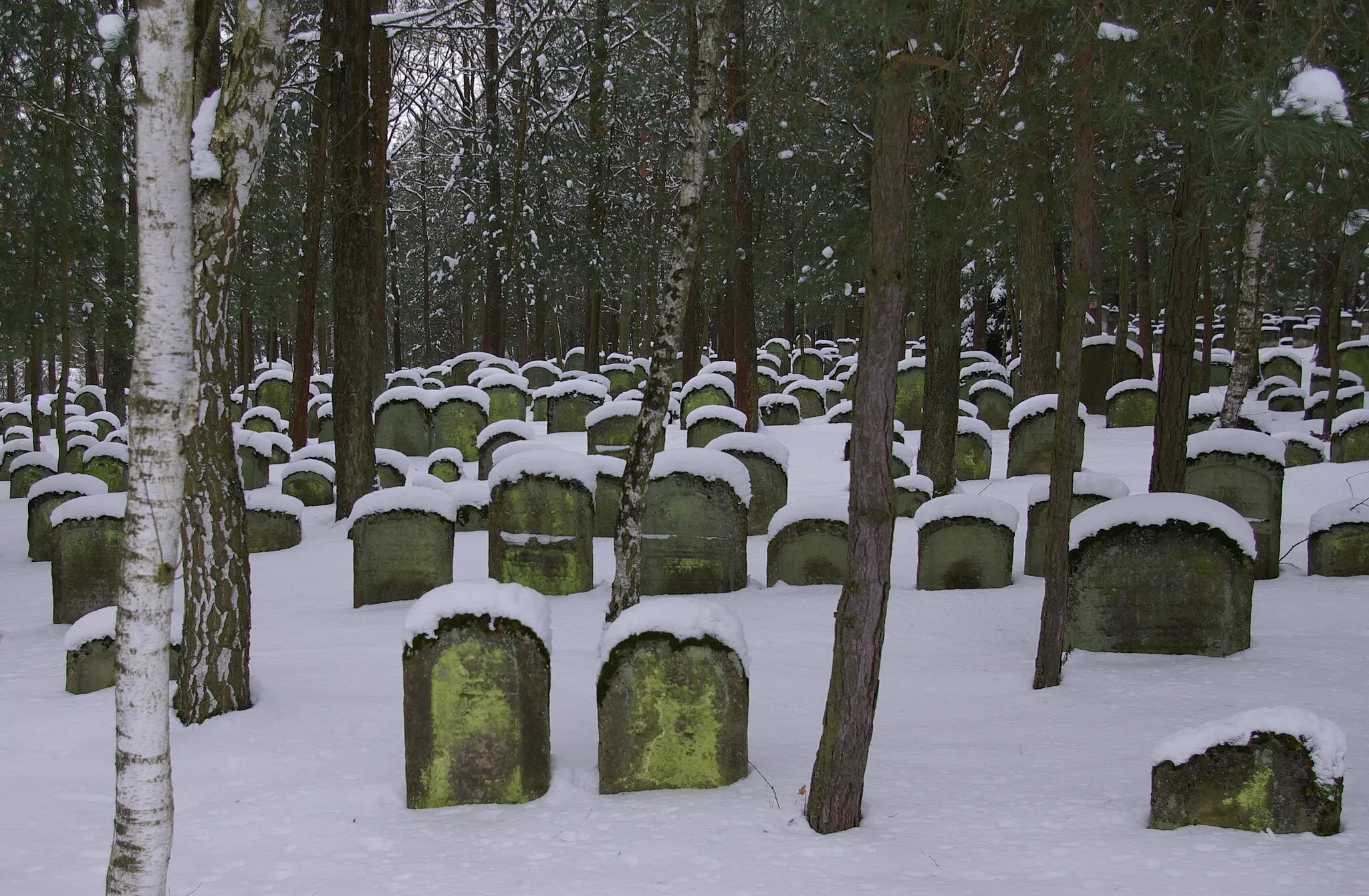 Photo showing: Jüdischer Friedhof in Zeckern, Gemeinde Hemhofen