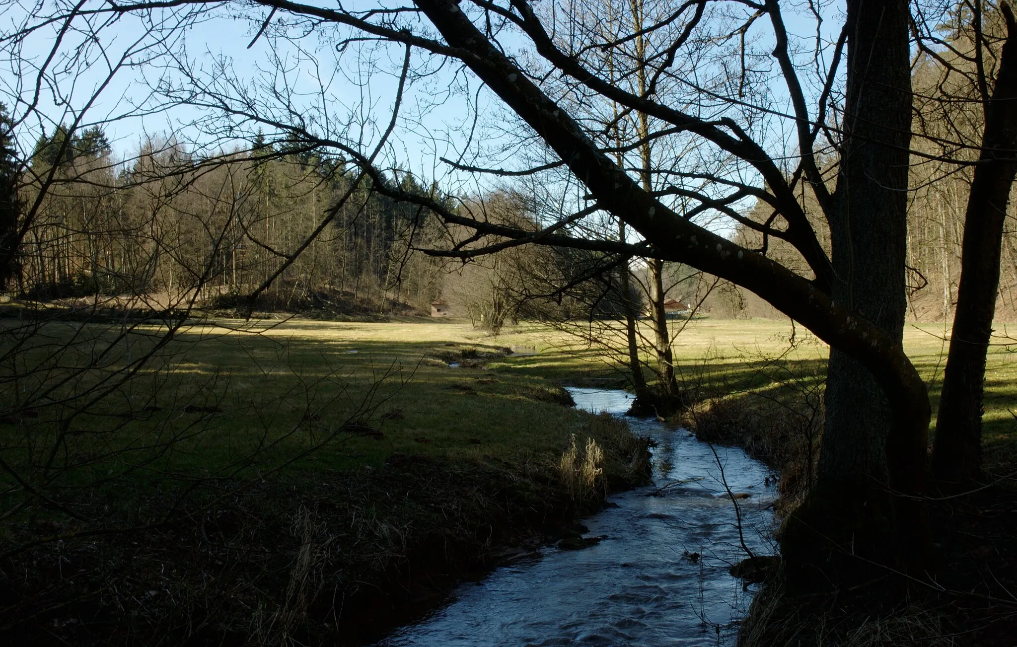 Bild von Neuendettelsau