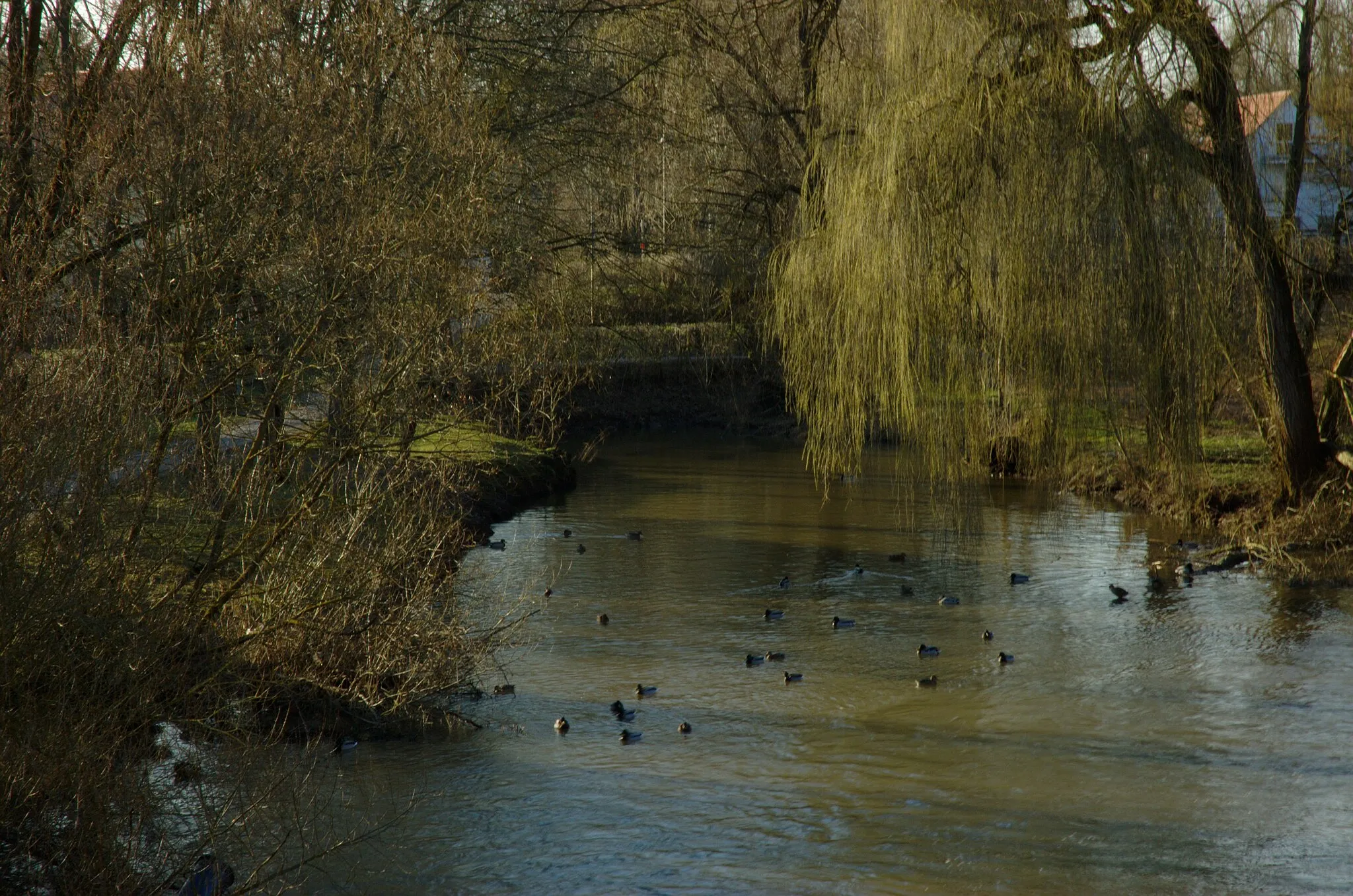 Photo showing: Rezat bei Windsbach