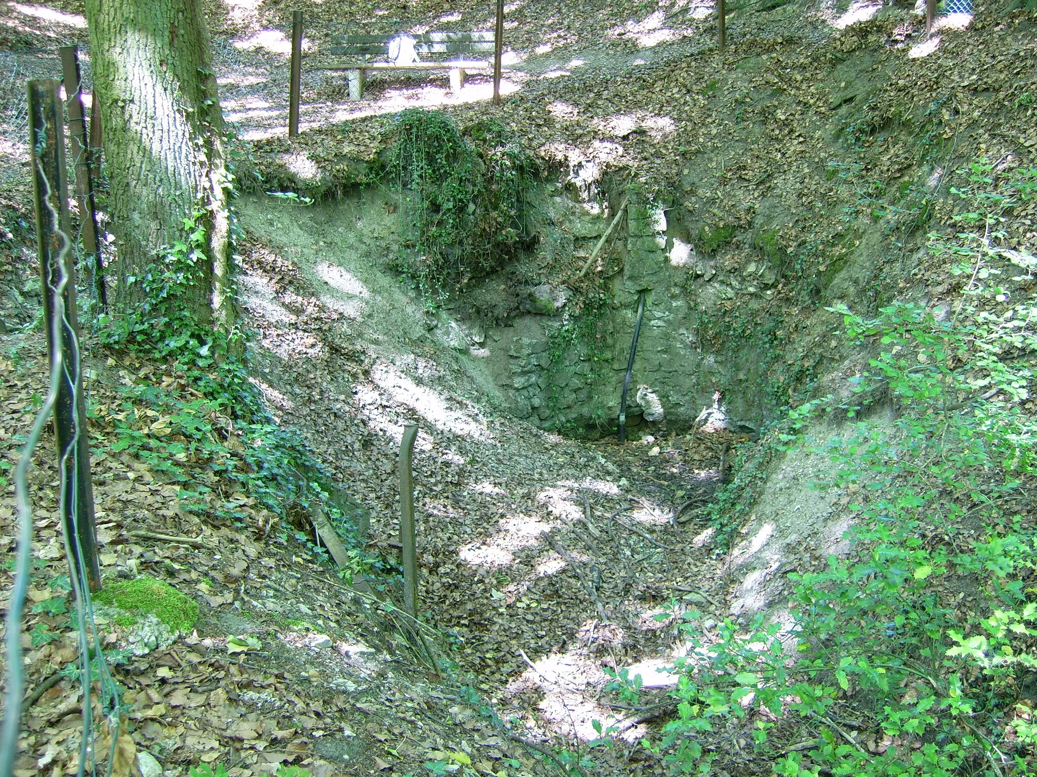 Photo showing: Felsenquelle bei Lienen-Höste