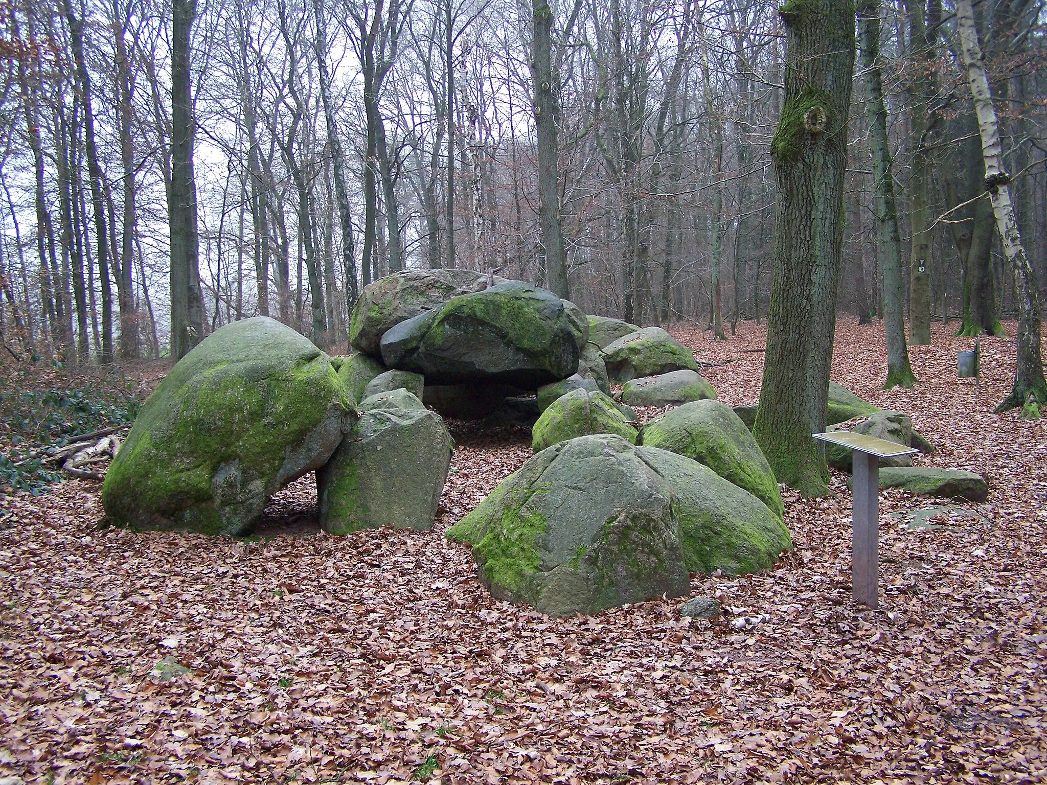 Photo showing: Große Sloopsteine in Wersen; ein Großsteingrab