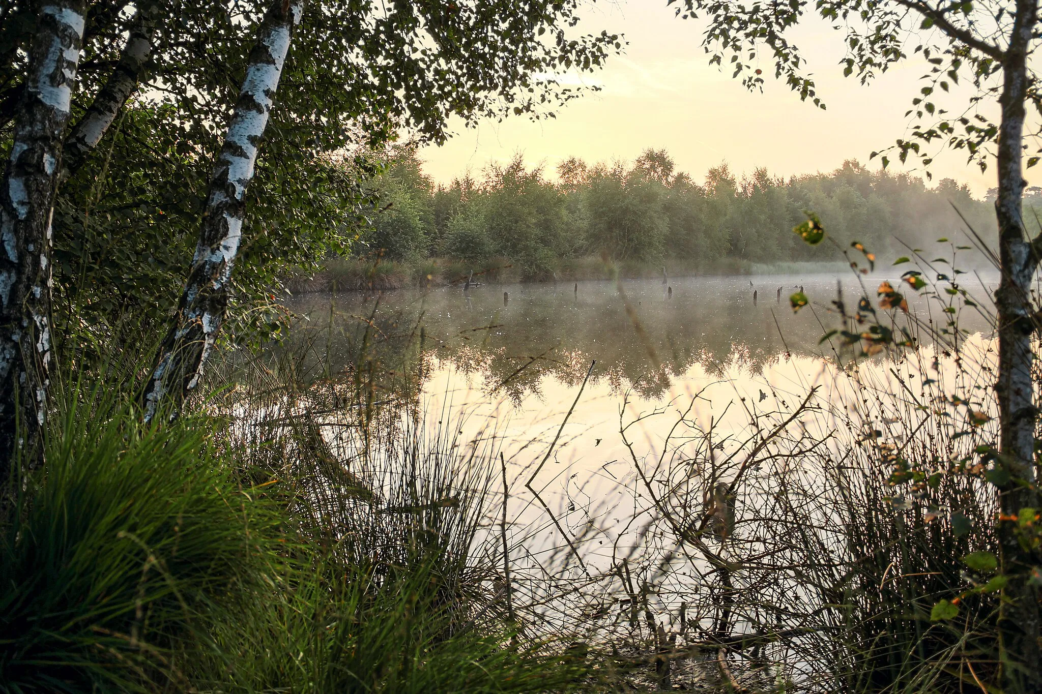 Photo showing: This is a picture of the protected area listed at WDPA under the ID