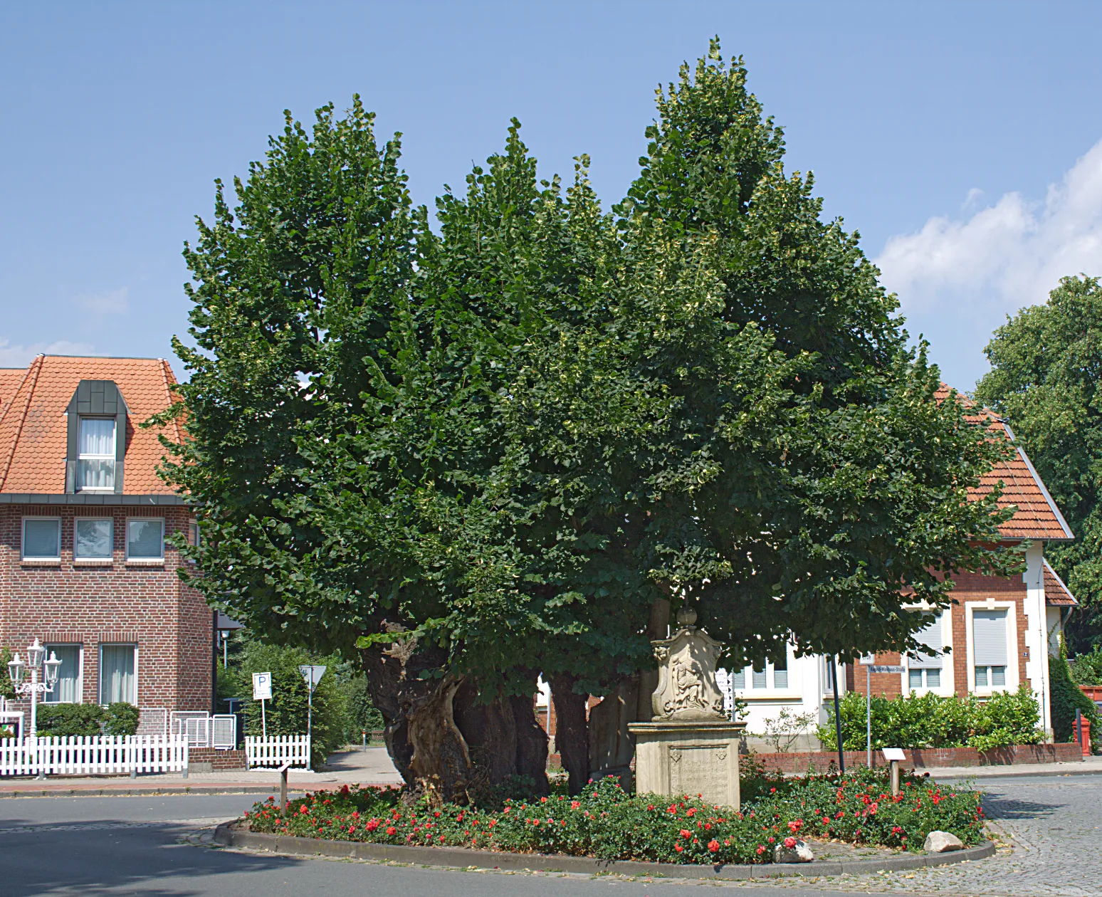 Bild von Münster