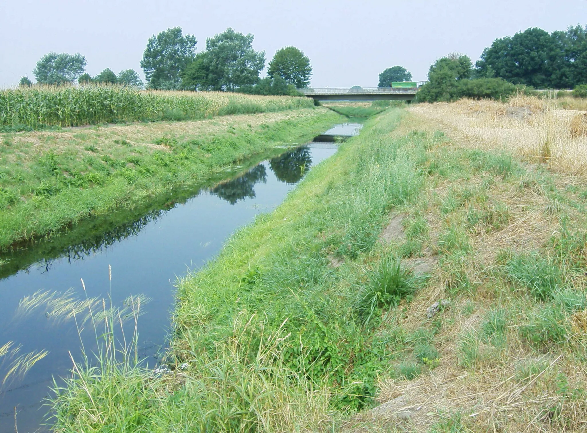 Photo showing: Steinfurter Aa etwa 500 m vor der Einmündung in die Vechte