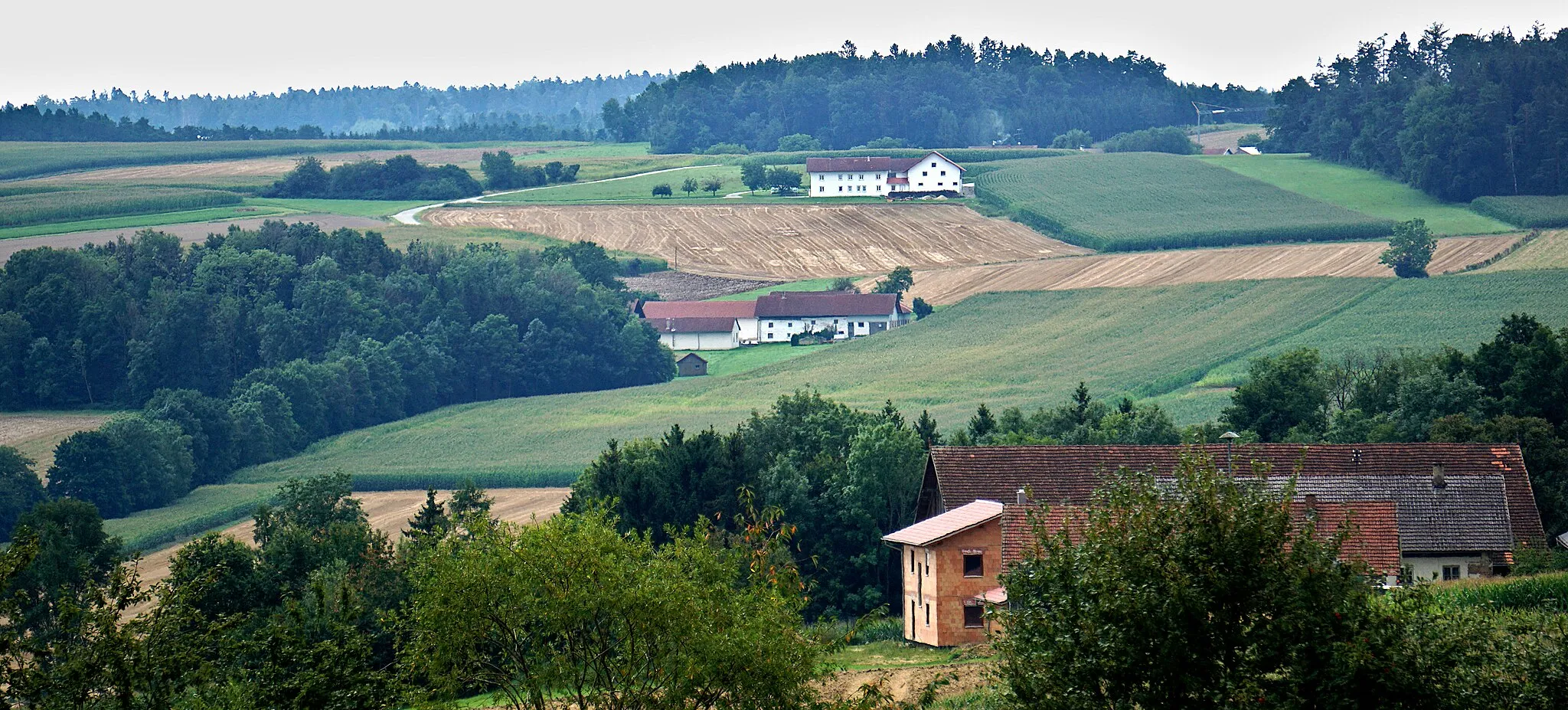 Photo showing: Blick auf Schachtenmann (Arnstorf).