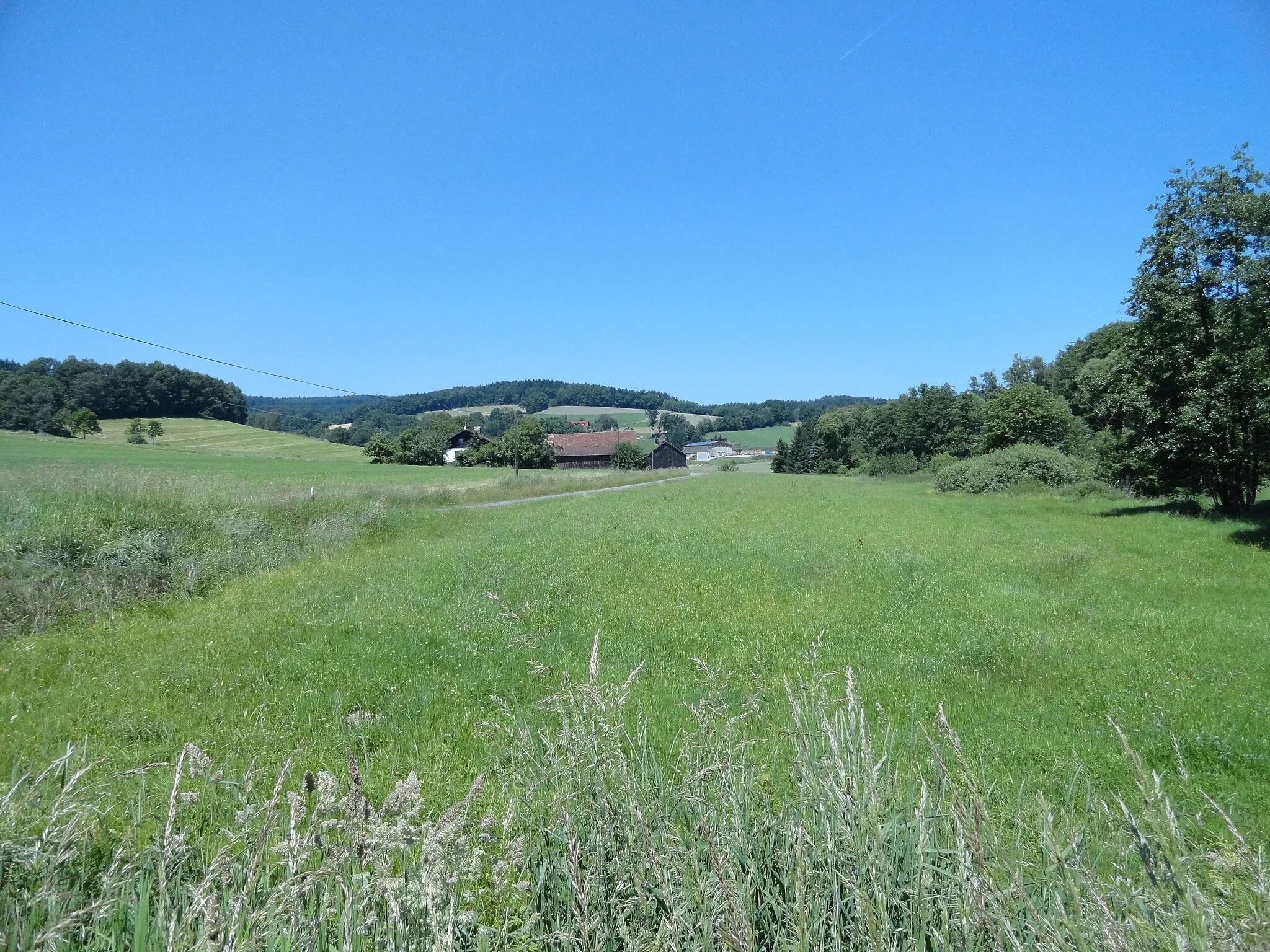 Zdjęcie: Niederbayern