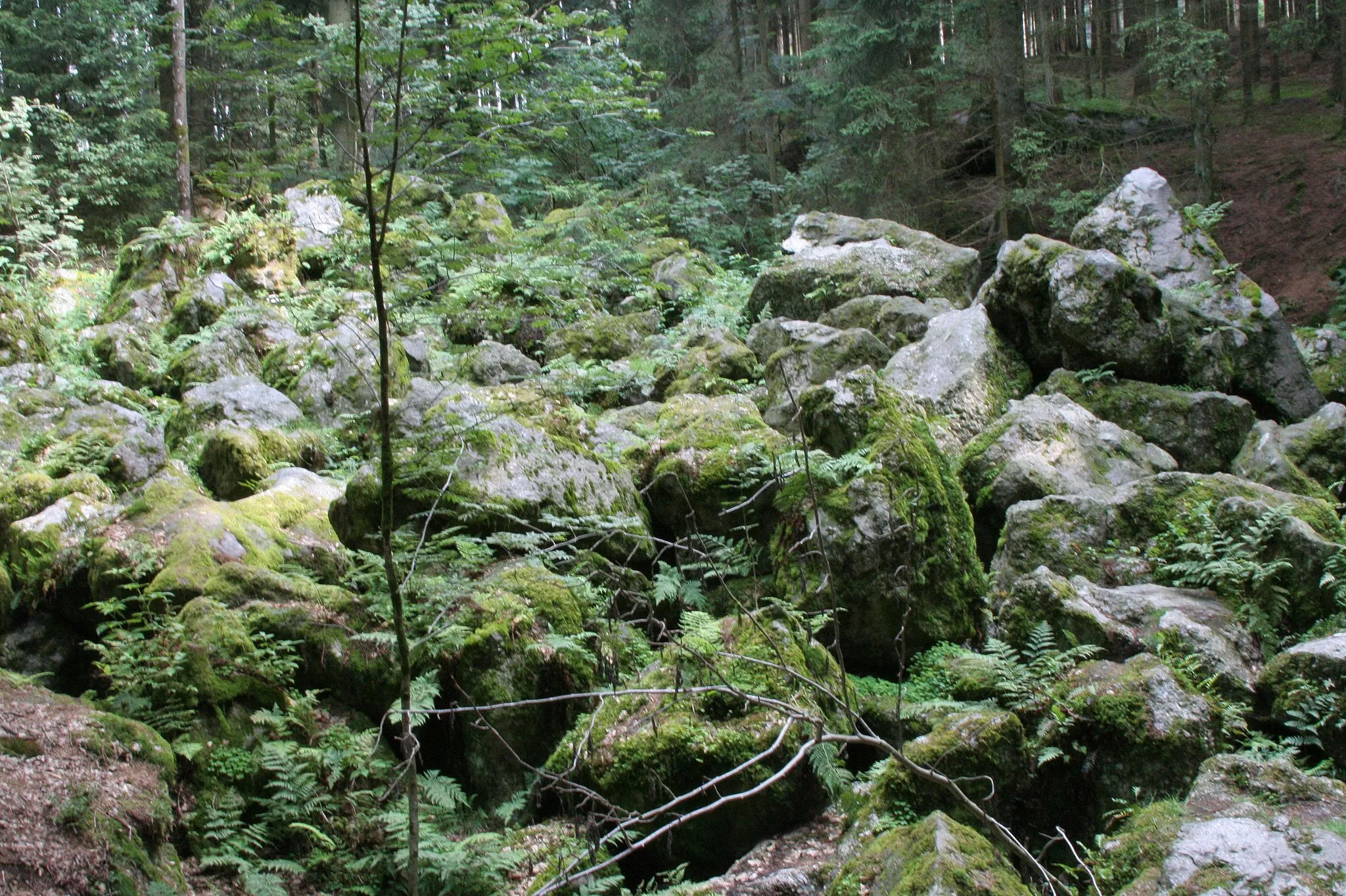 Photo showing: Einige Felsen der „Kaser Steinstube(n)“ in Triftern. Blockstrom aus Quarzkonglomerat, Geotop in Niederbayern, vgl. [1].