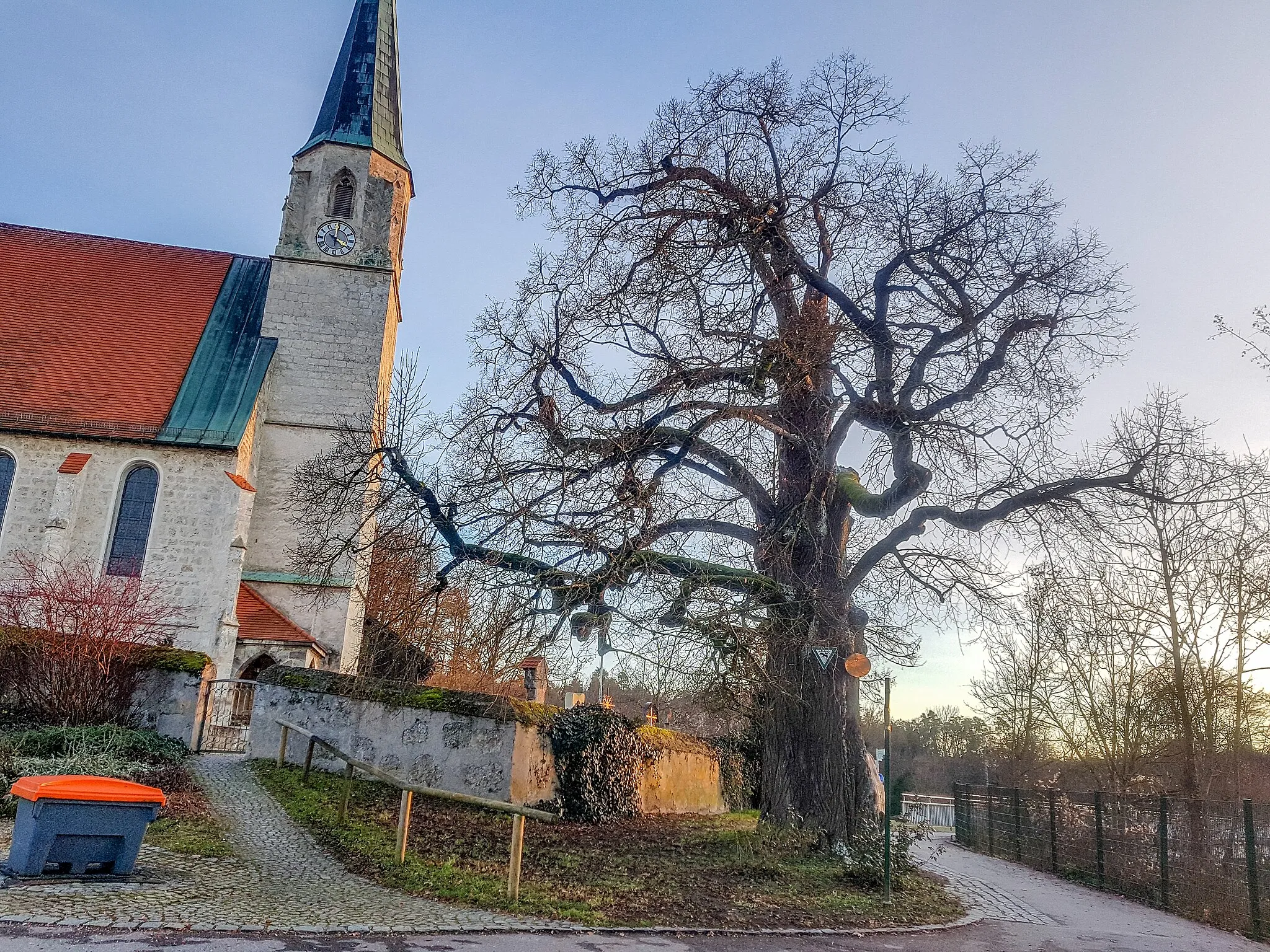 Photo showing: ND Dorf-Friedhof-Linde