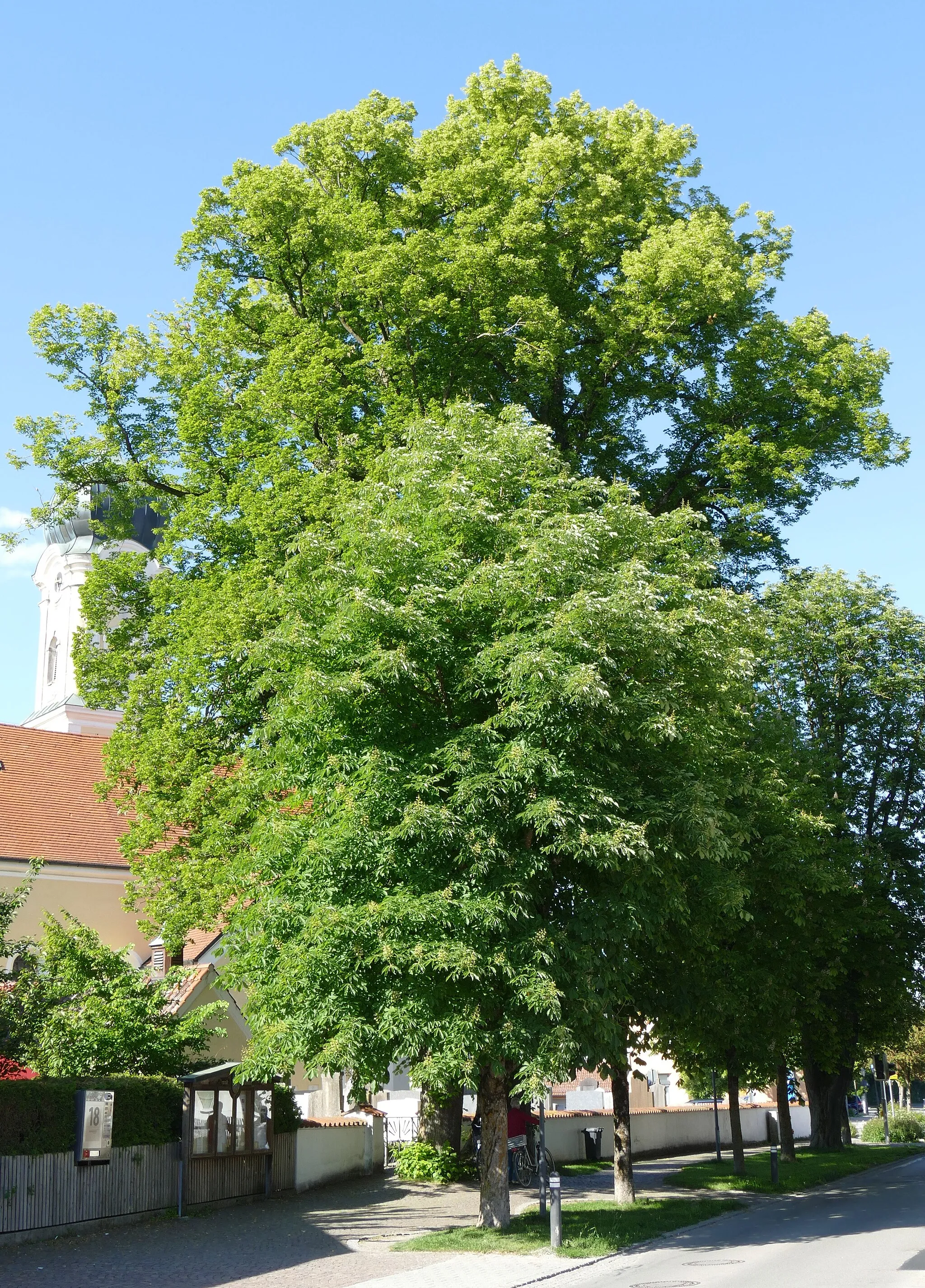 Billede af Oberbayern