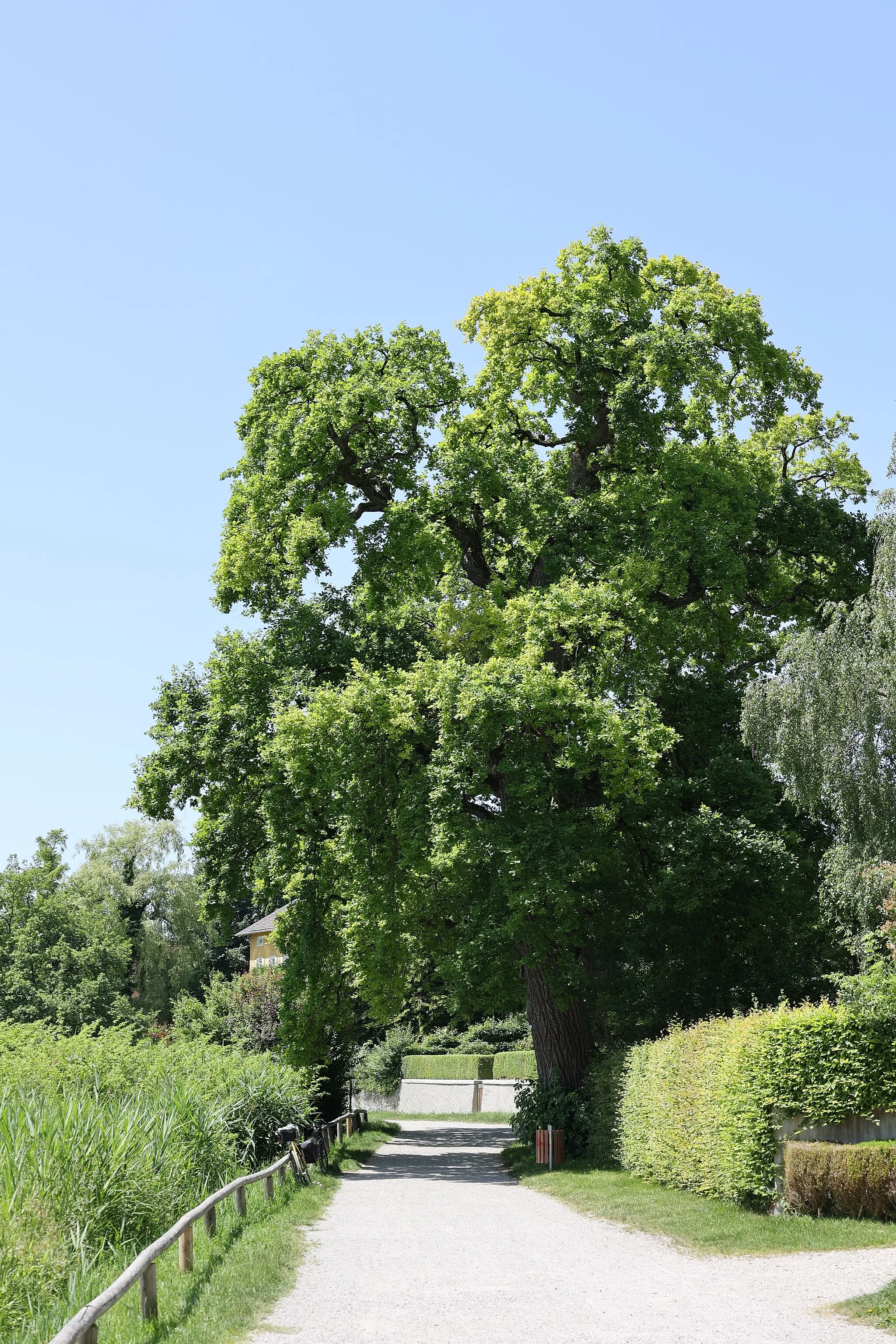 Image of Oberbayern