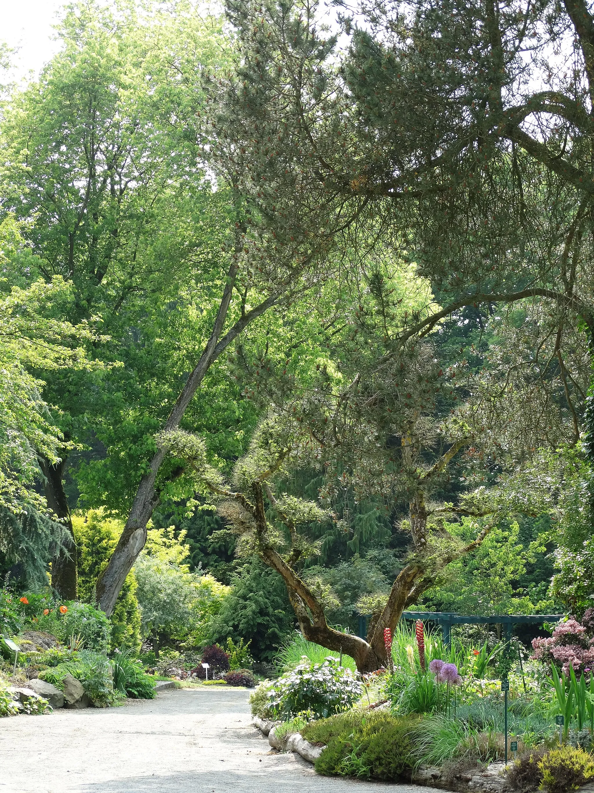 Photo showing: Botanischer Garten im Norden der Stadt Hof am Theresienstein