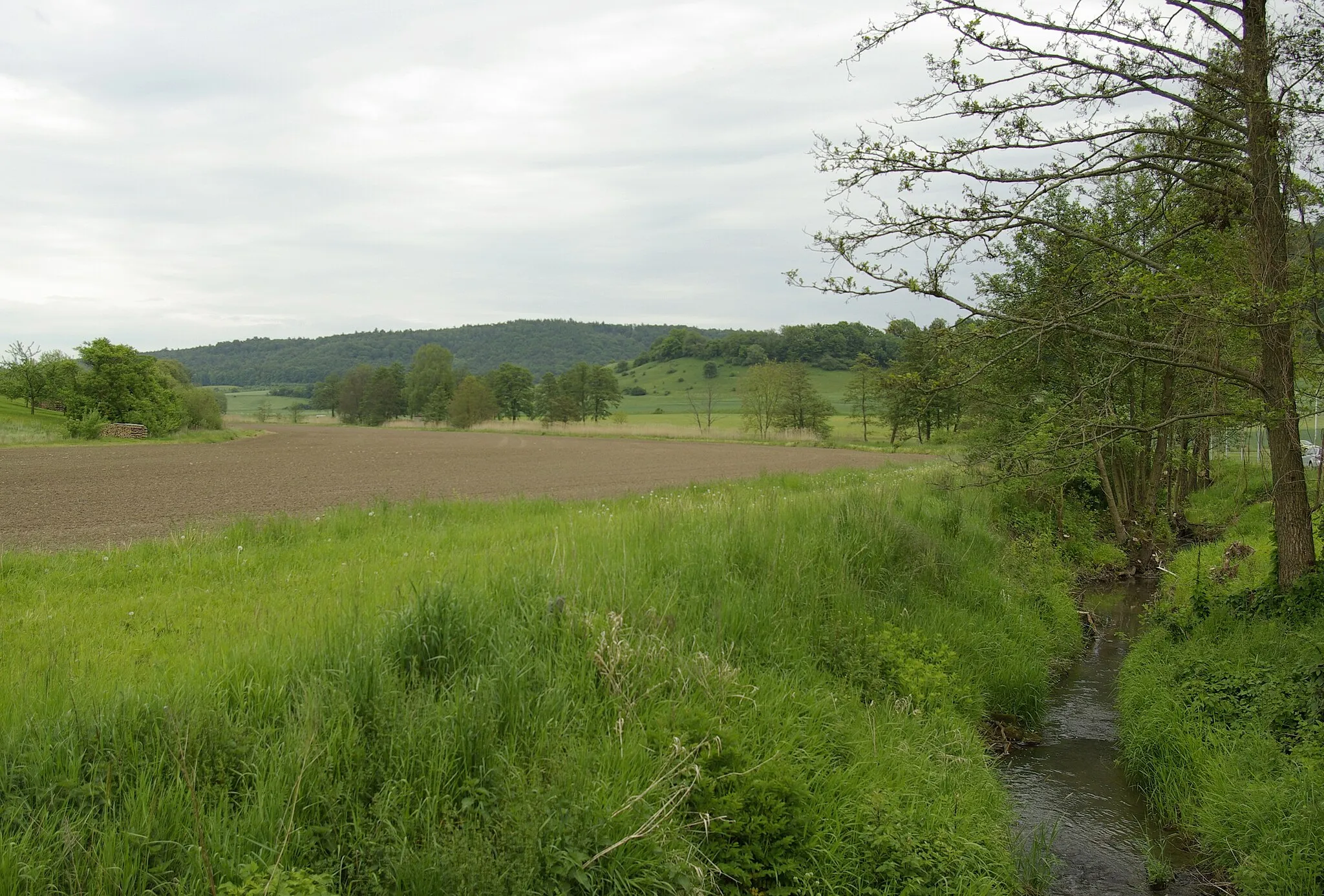 Photo showing: Die Rauhe Ebrach in Geusfeld in der Gemeinde Rauhenebrach im Steigerwald; Gebiet im Naturpark Steigerwald.