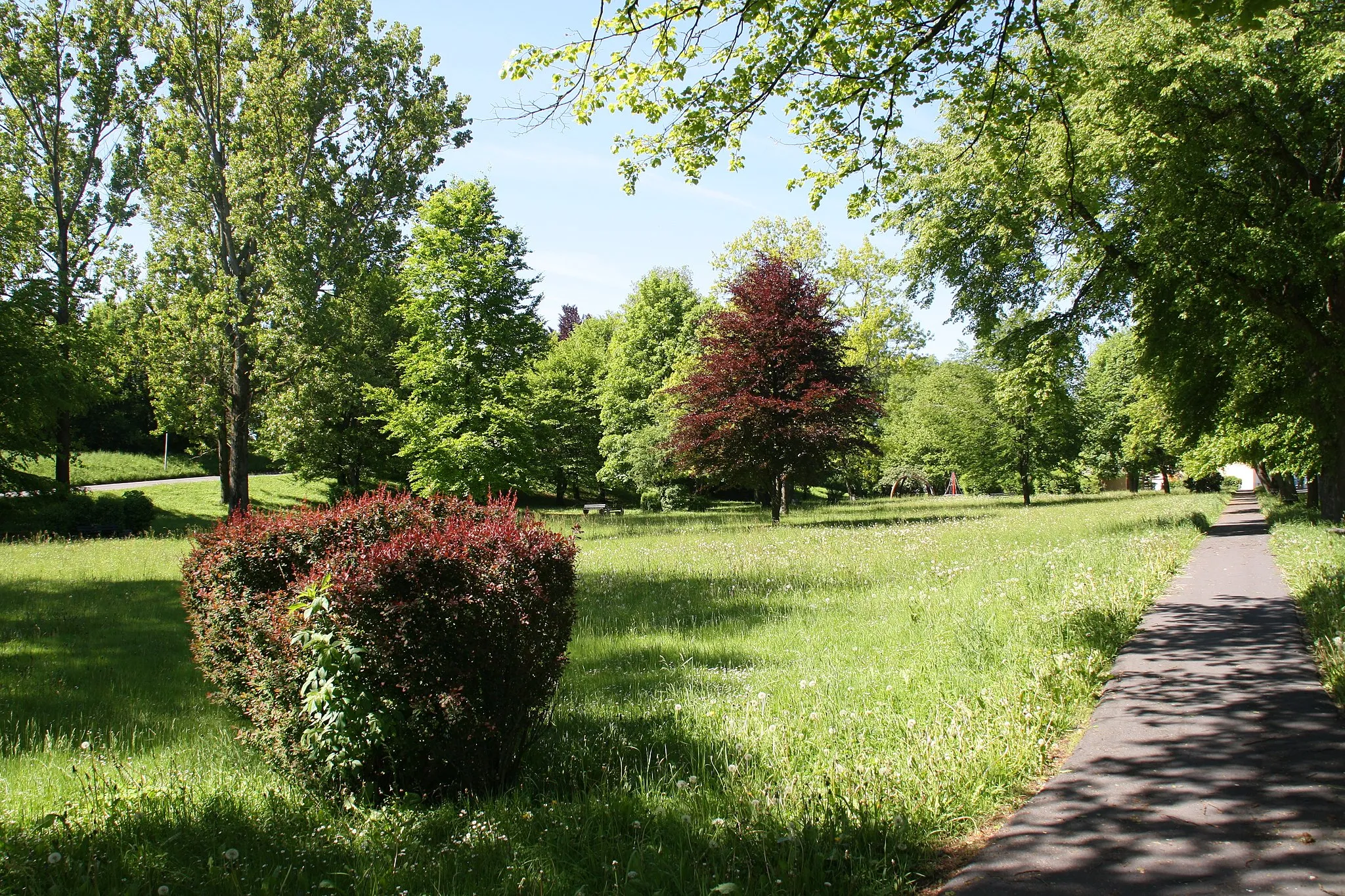 Photo showing: Park at the train station of Schönwald