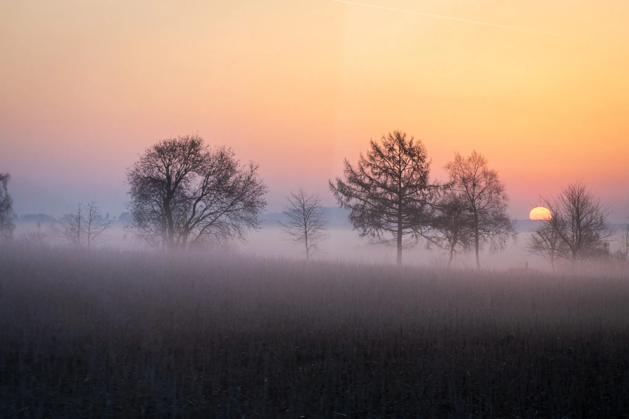 Photo showing: 500px provided description: Finally... Shot out of the driving bus. ;) [#mist ,#trees ,#sky ,#landscape ,#sunrise ,#fog ,#morning ,#spring ,#color ,#sun ,#light ,#tree ,#germany ,#rising ,#ground ,#clear ,#colorful ,#misty ,#vibrant ,#rise ,#early ,#springtime ,#bavaria ,#foggy ,#franconia ,#free state of bavaria]