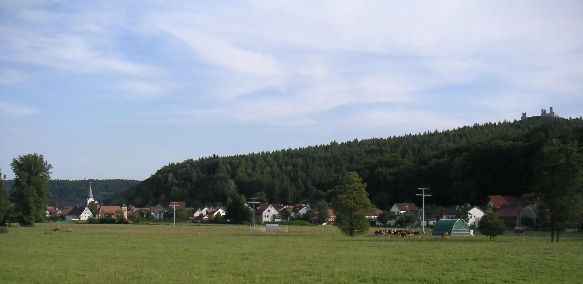 Photo showing: Blick auf Hohenburg (von Richtung Kastl)