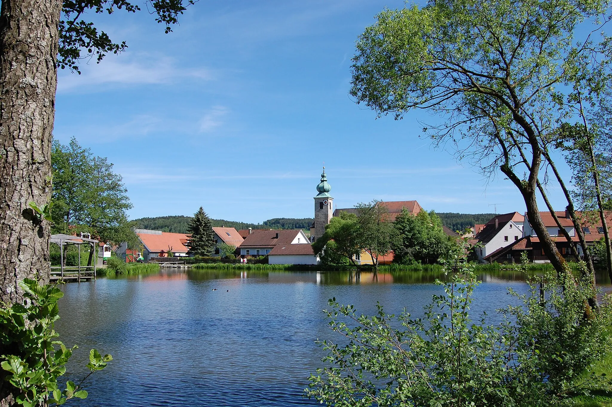 Photo showing: Oberviechtach, Marktweiher mit Pfarrkirche