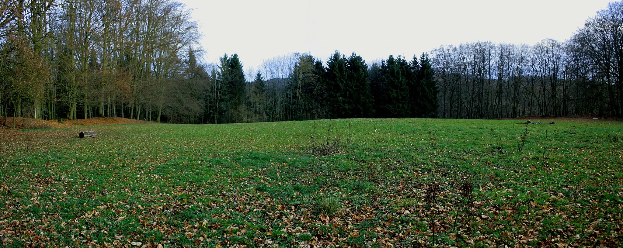 Photo showing: Keltenschanze