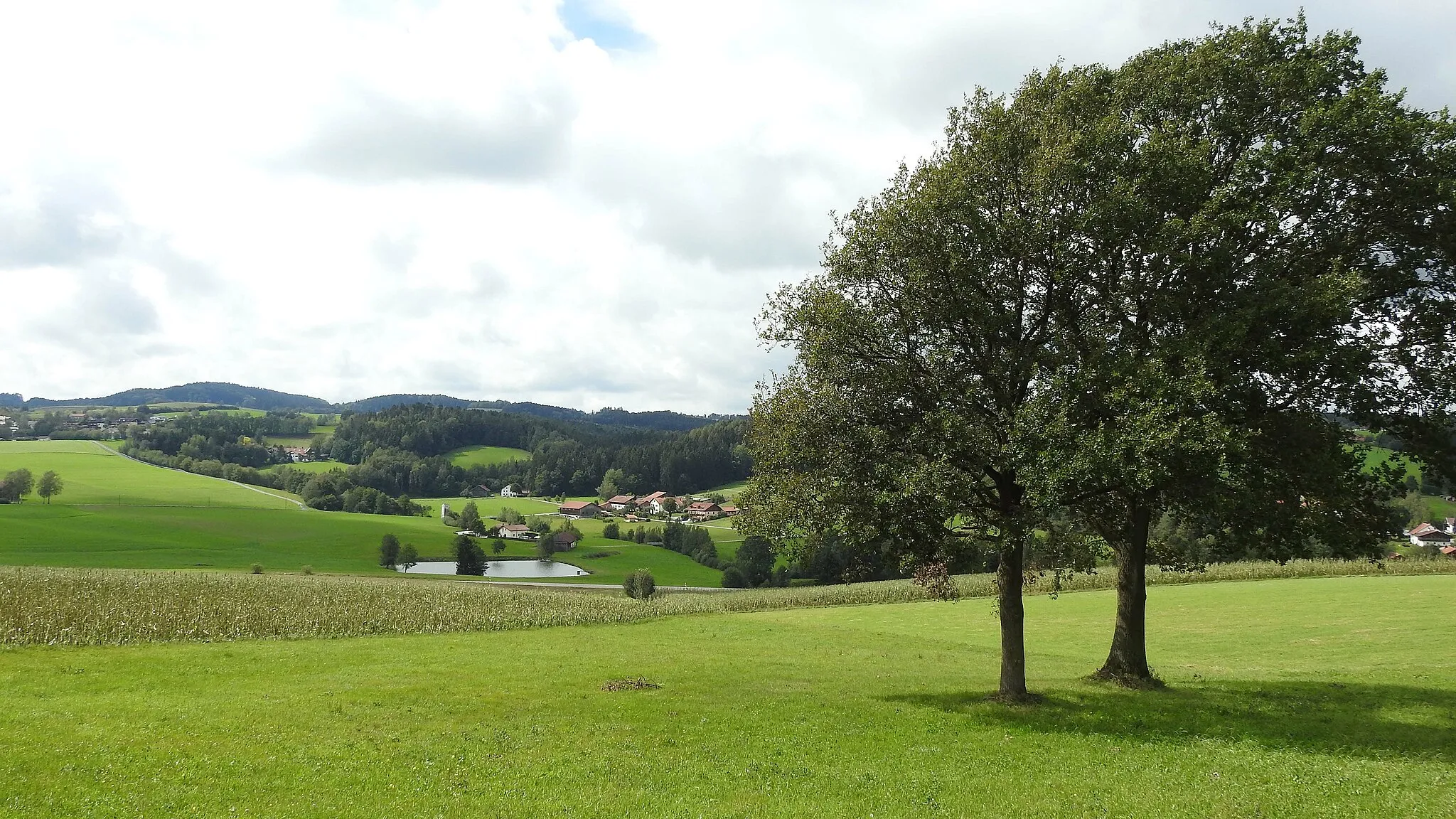 Photo showing: Bei Obergoßzell