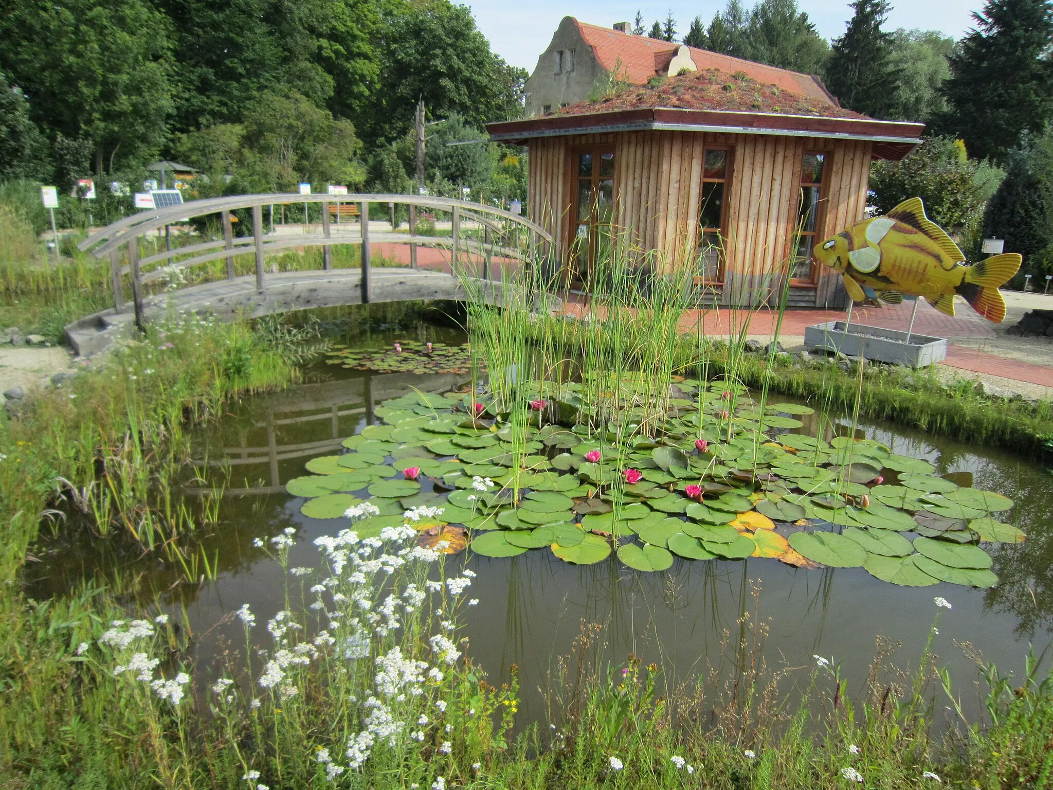 Photo showing: Nature experience garden in Waldsassen