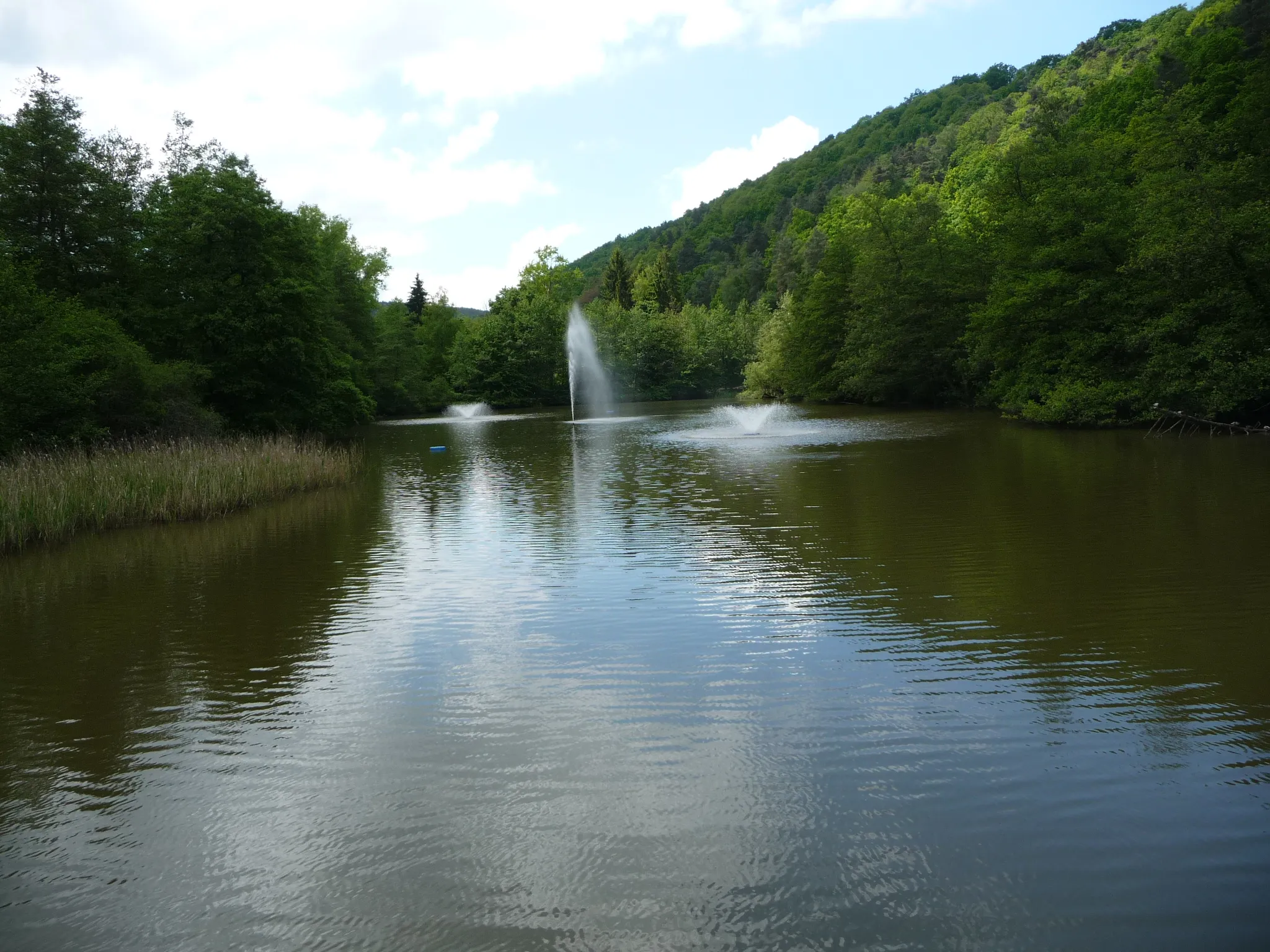 Photo showing: Der Weiler Maihof-Drahtzug ist ein Ortsteil der Ortsgemeinde Altleiningen im rheinland-pfälzischen Landkreis Bad Dürkheim.