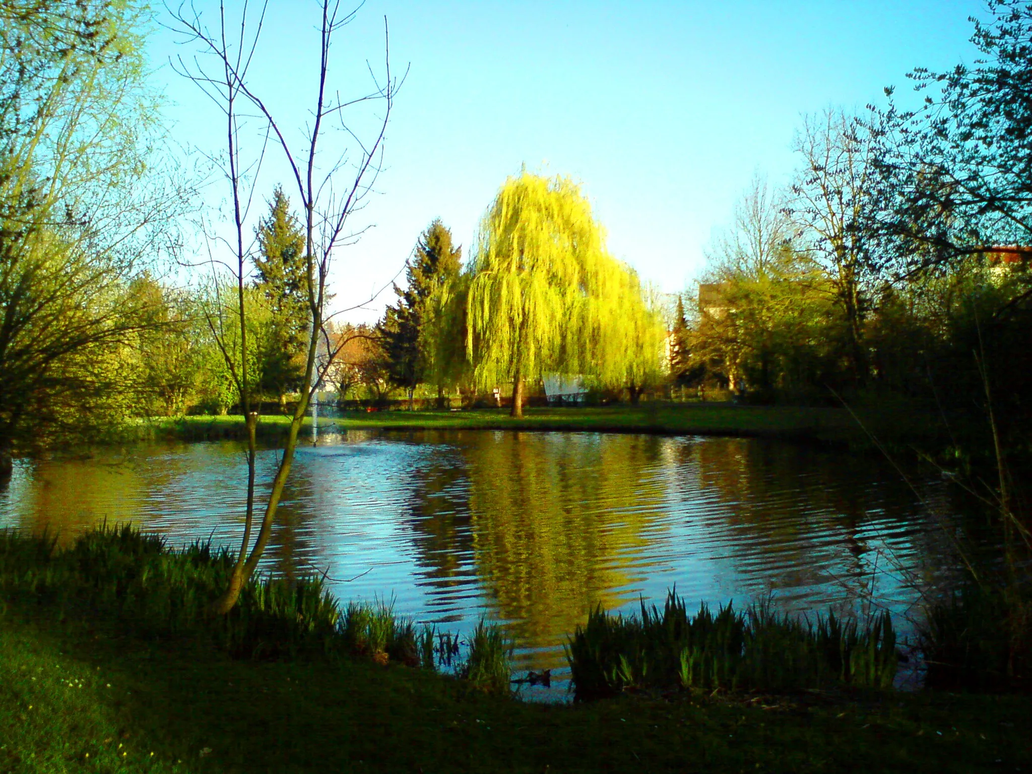 Photo showing: Park in Bellheim