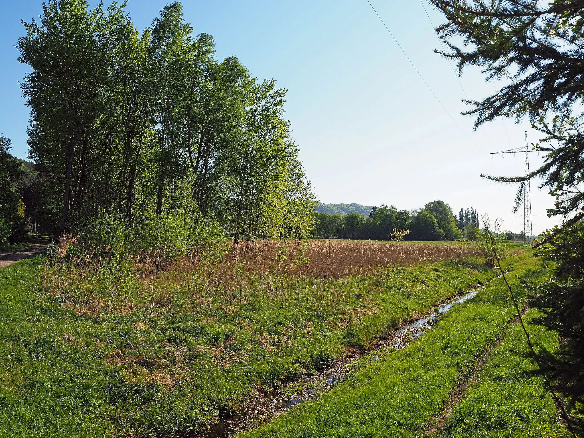 Photo showing: Wiesen nördlich von Vogelbach, Blick nach Südwesten