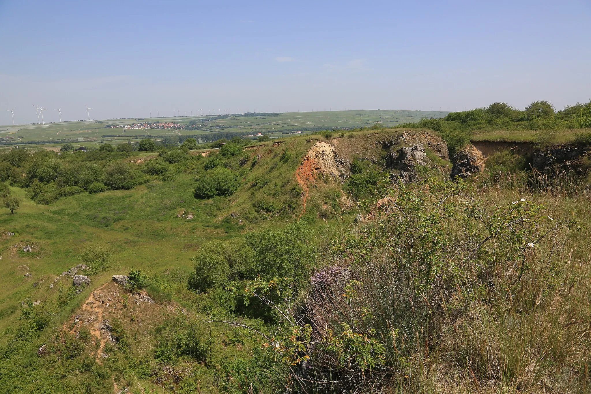 Photo showing: Naturschutzgebiet, das auf dem Gelände eines 1956 eingestellten Kalksteinabbruchgebietes entstanden ist.