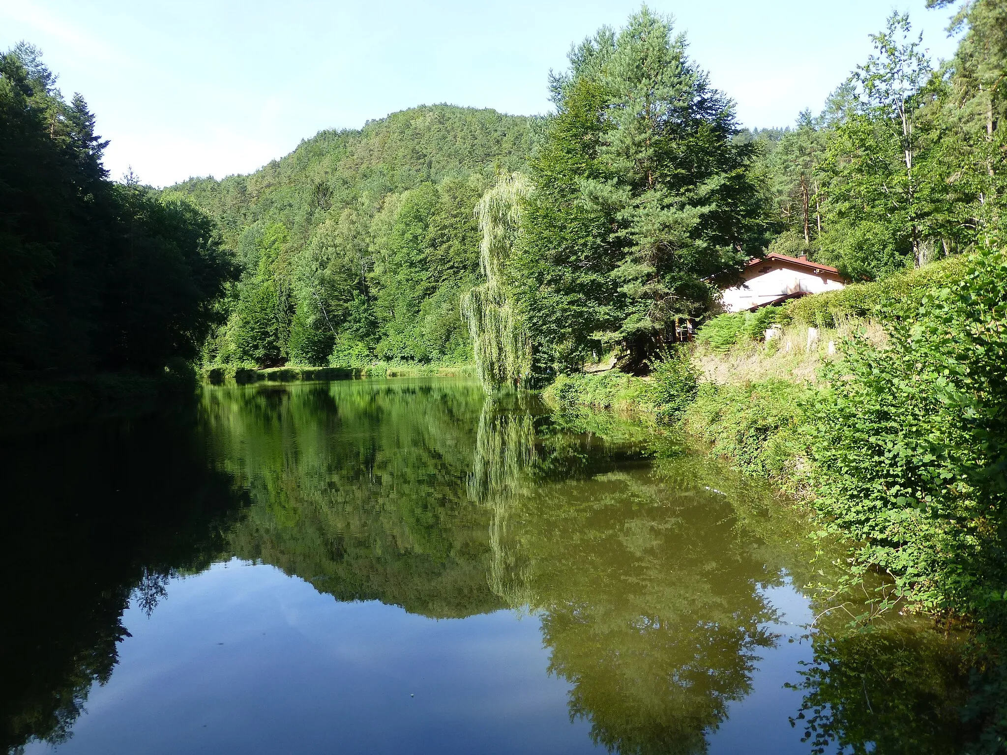 Photo showing: Lake in front of Paddelweiher-Hütte,  Stephanstal in Queich valley, Hauenstein (Pfalz).