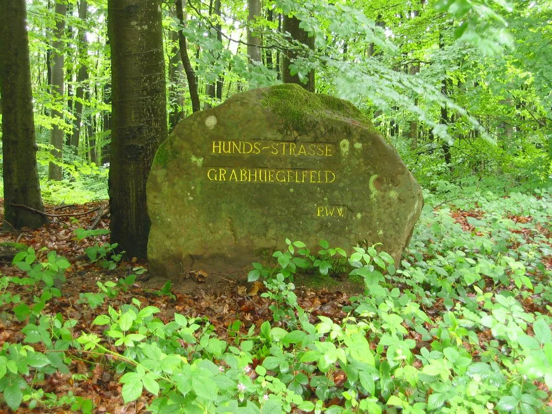 Photo showing: Ritterstein Nummer 244, Hunds - Strasse - Grabhuegelfeld
