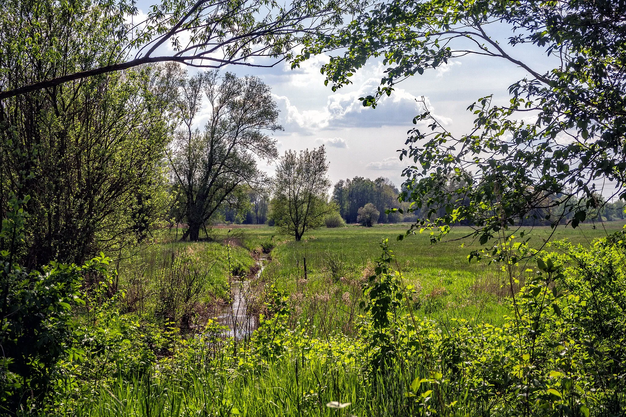 Bild von Hütschenhausen