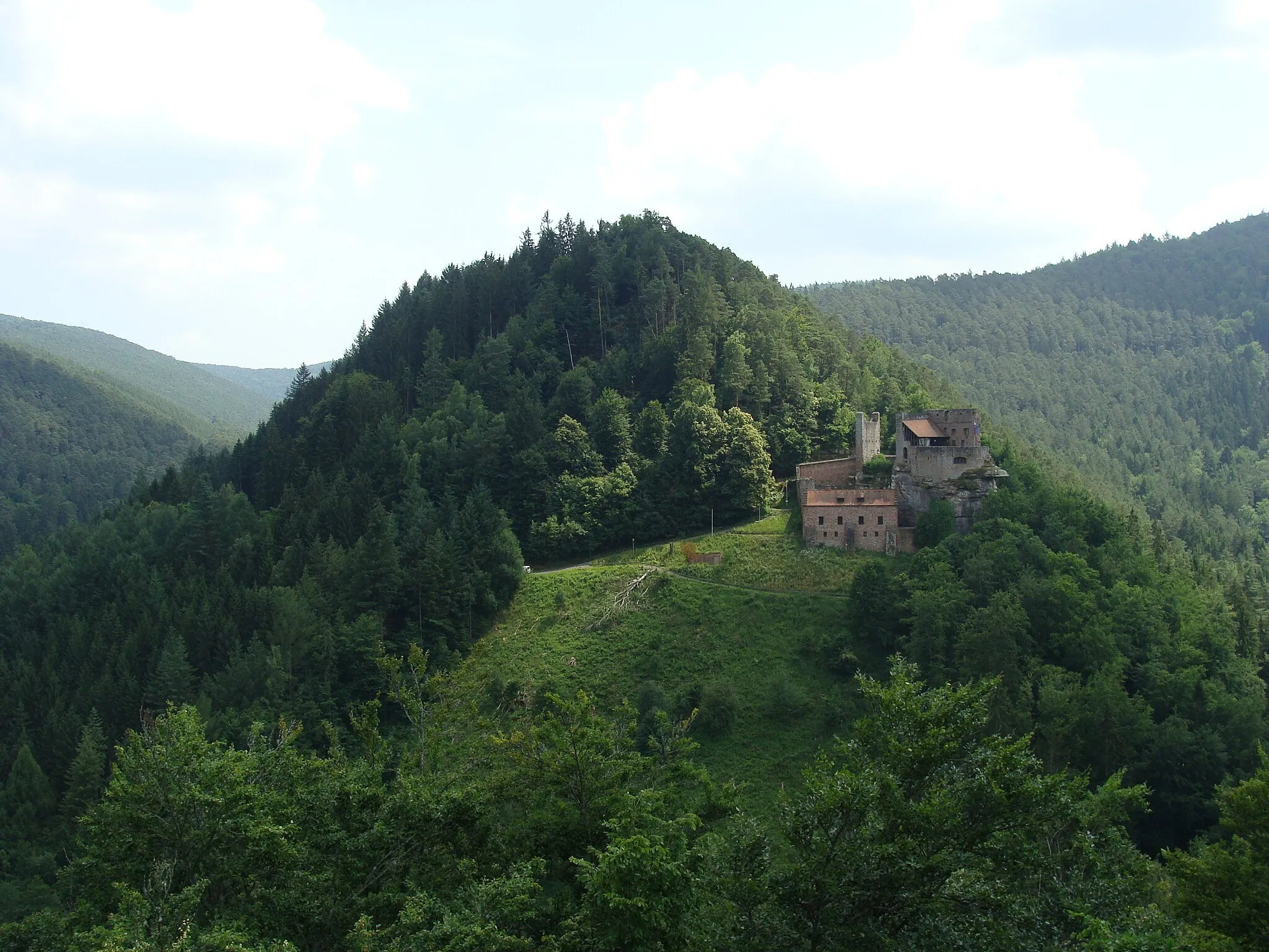 Photo showing: Schlossberg mit Burg Spangenberg bei Erfenstein im Speyerbachtal (Pfälzerwald)