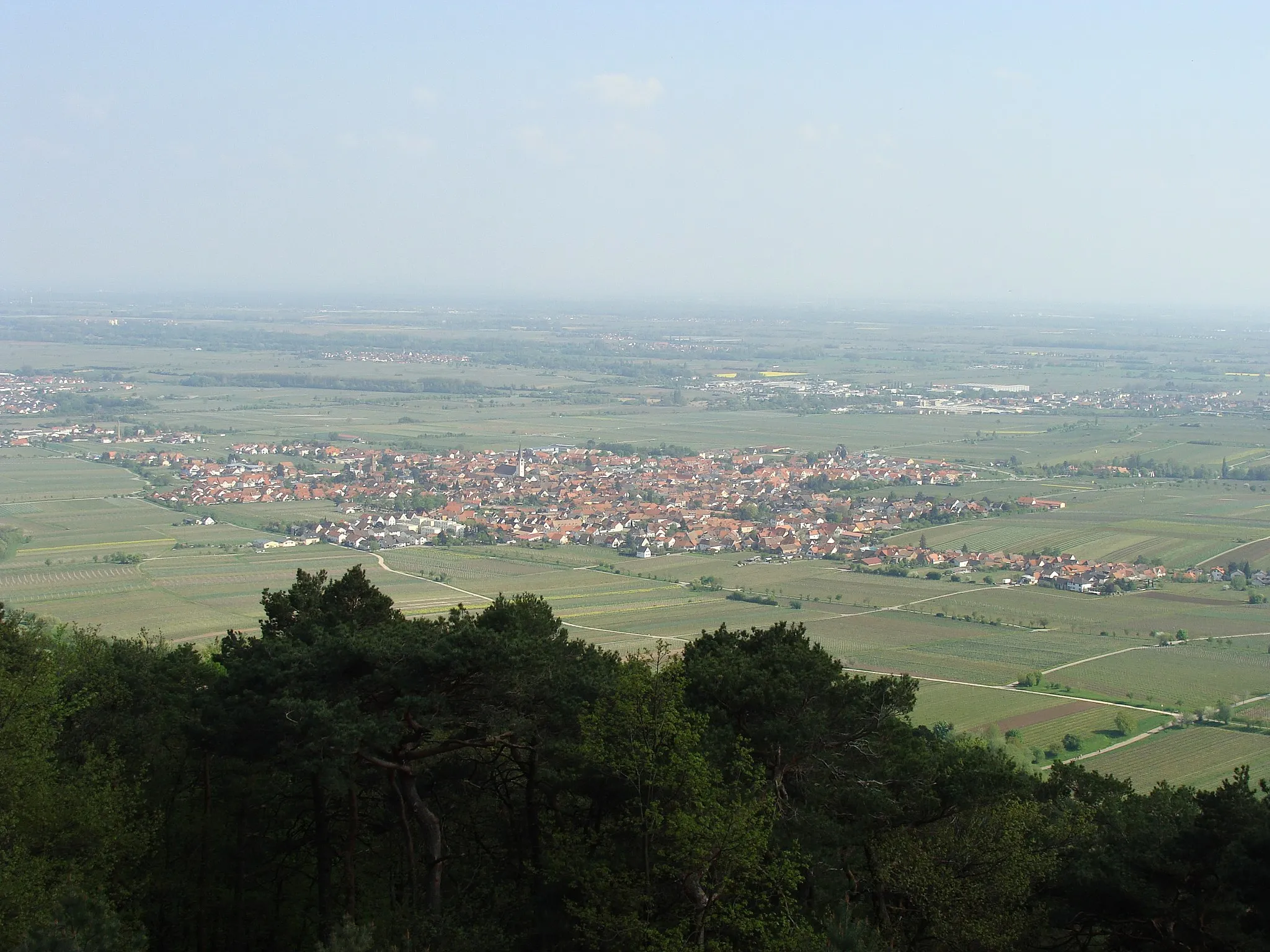 Image de Rheinhessen-Pfalz