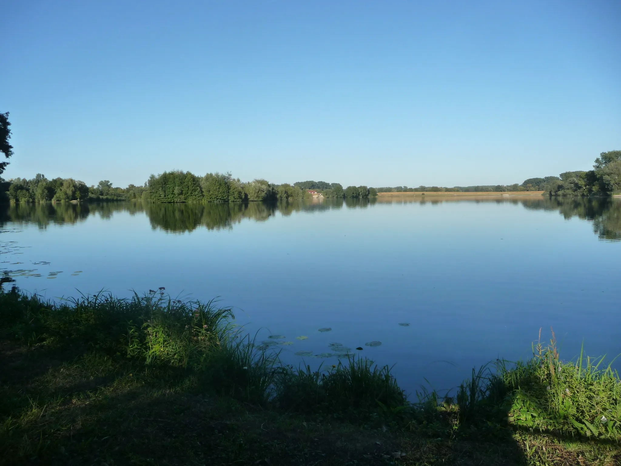 Image of Rheinhessen-Pfalz