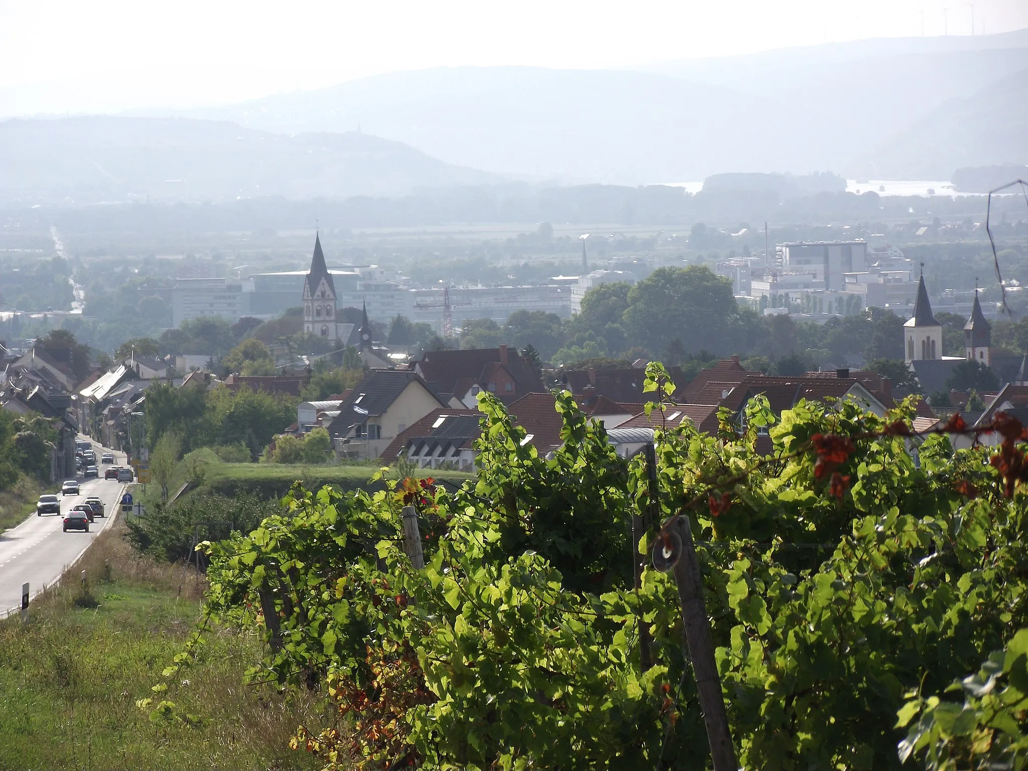 Image of Nieder-Ingelheim