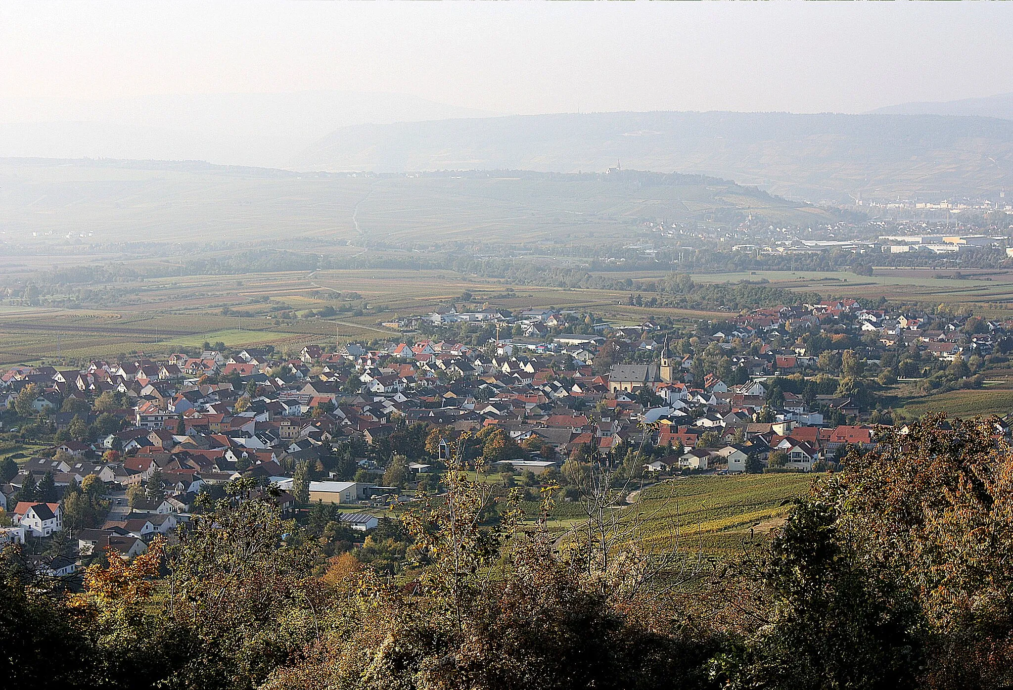 Photo showing: Jakobsberg, view to Ockenheim