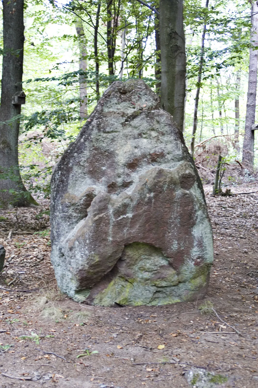 Photo showing: an der Grenze mit Höringen und Heiligenmoschel: Menhir, jungsteinzeitlich