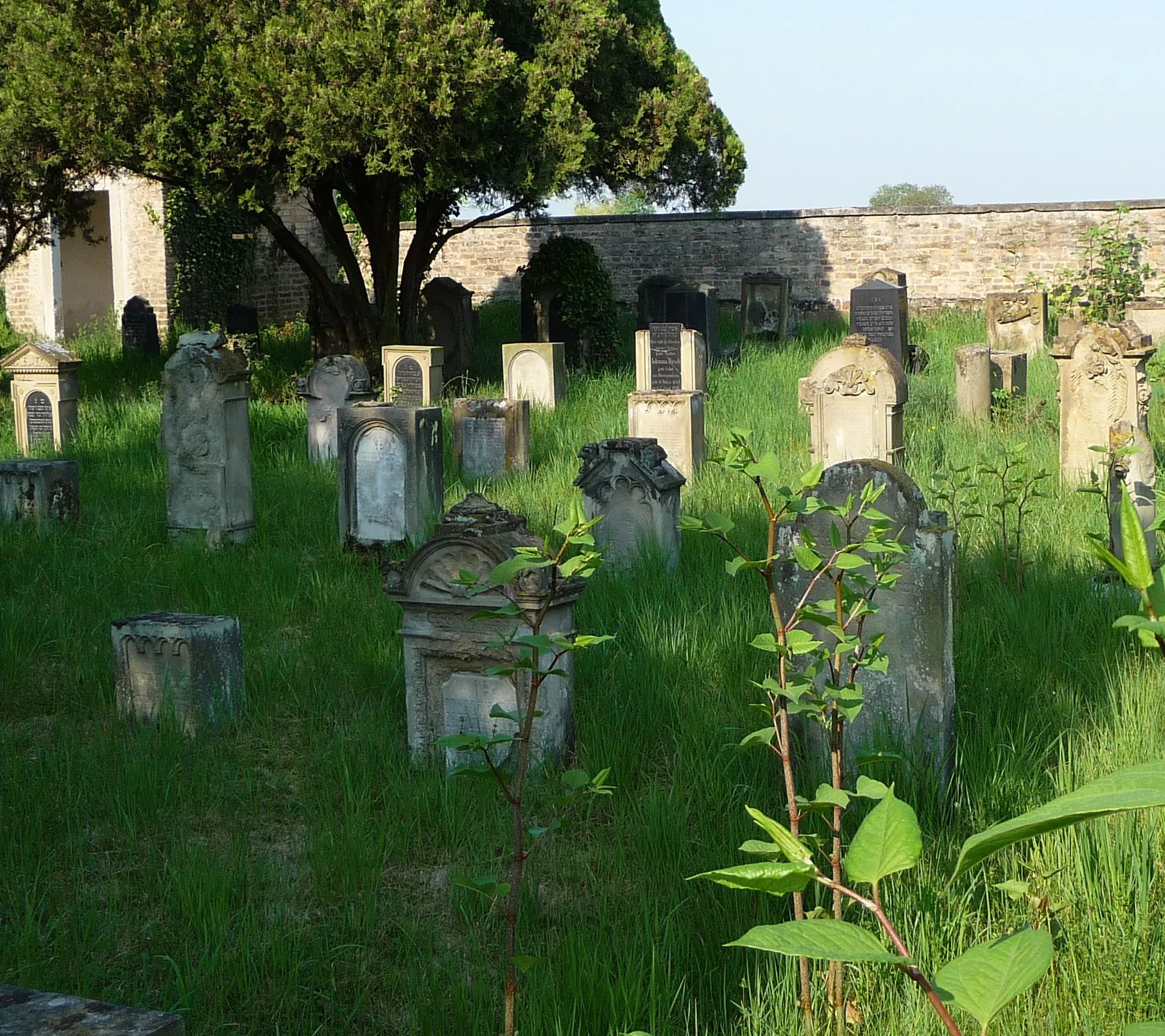 Photo showing: Judenfriedhof