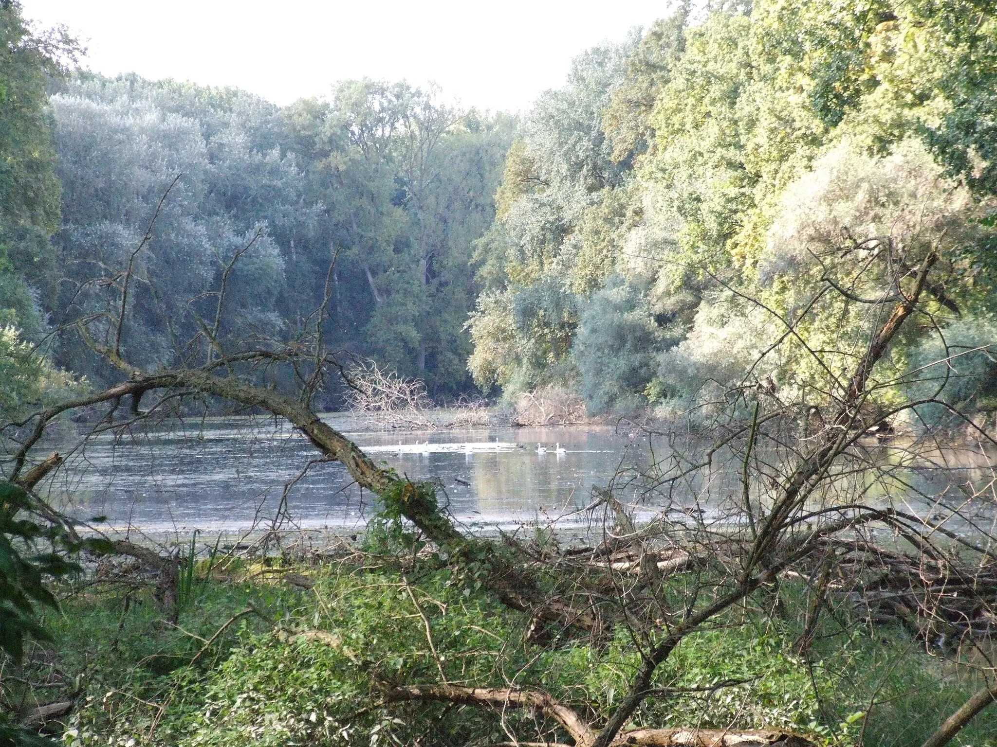 Image of Rheinhessen-Pfalz