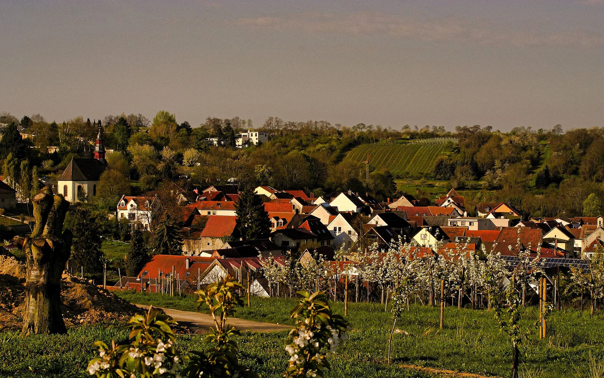 Photo showing: Ortskern Wackernheim im April 2019 von Osten aus gesehen