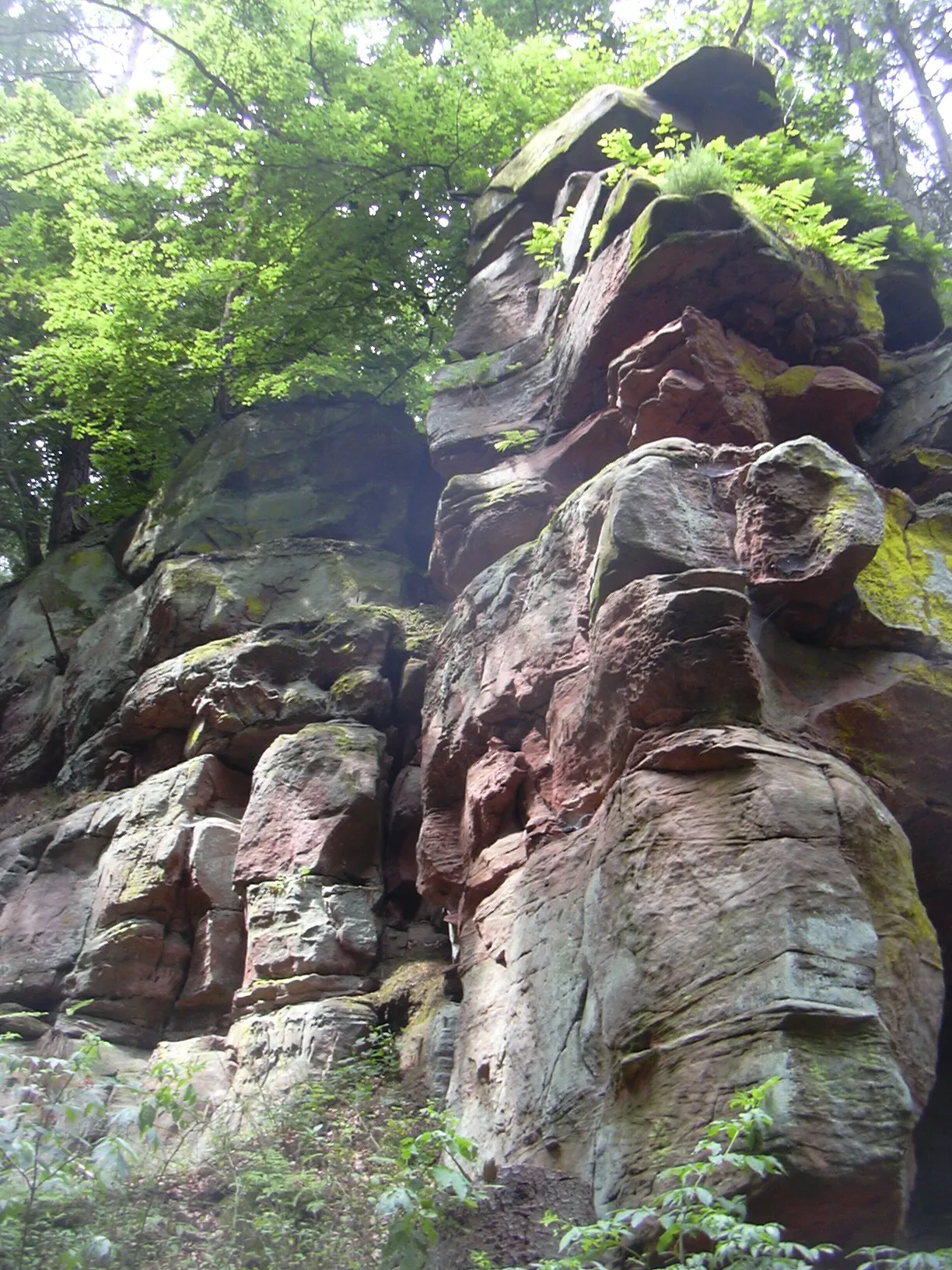 Photo showing: Sandstone Rocks near Heidelsburg (Roman castle), Pfälzerwald/Germany