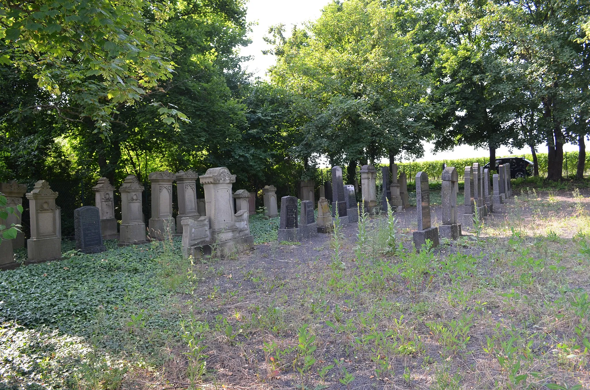 Photo showing: Wallertheim, Jüdischer Friedhof
