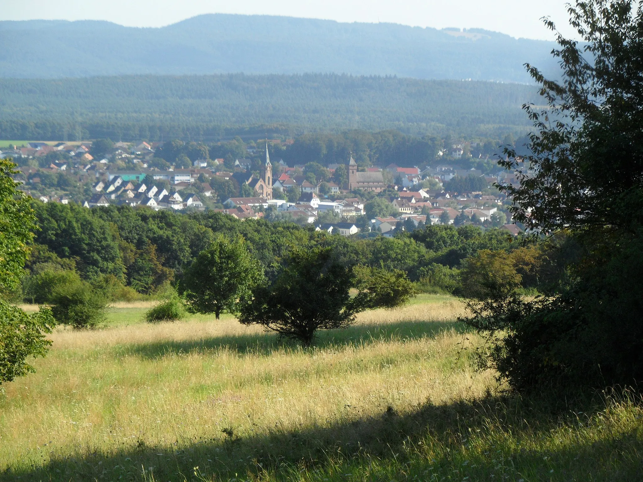 Photo showing: Erzenhausen, Landkreis Kaiserslautern, NSG Magerwiesen am Eulenkopf, mit Weilerbach im Hintergrund, Blick nach Süden