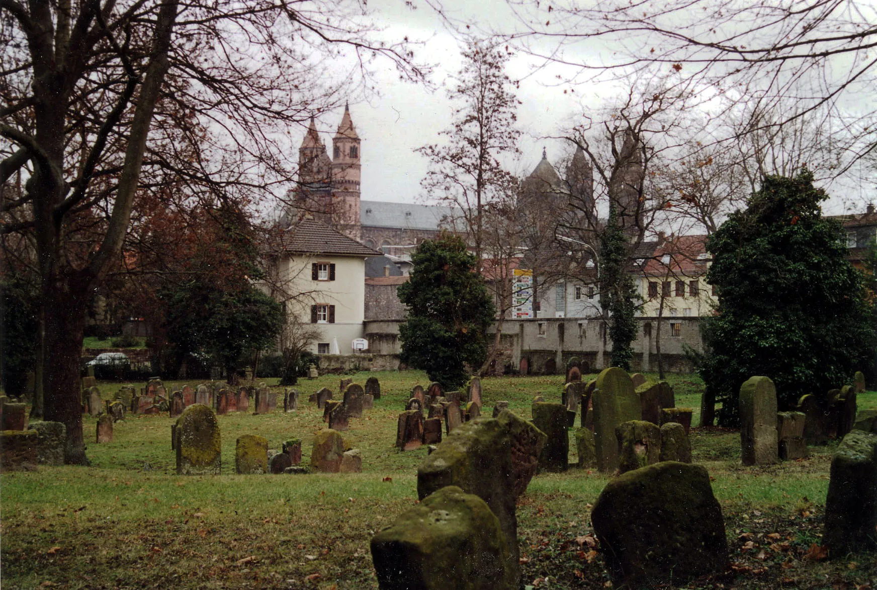 Photo showing: View of the jewish cemetery in w:Worms, Germany