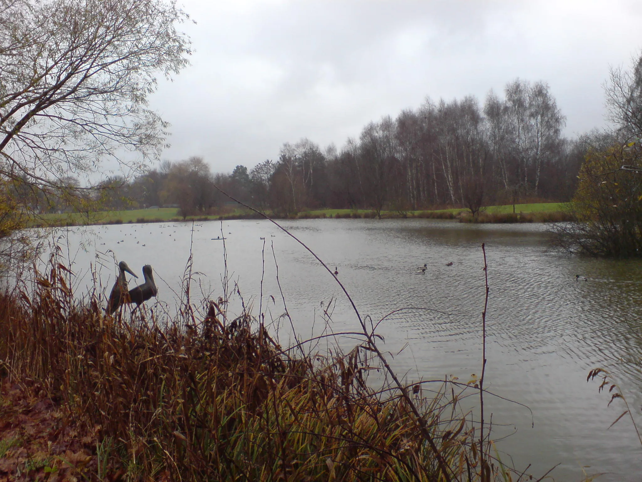 Photo showing: Der große Weiher im Stadtpark Homburg (Saar)