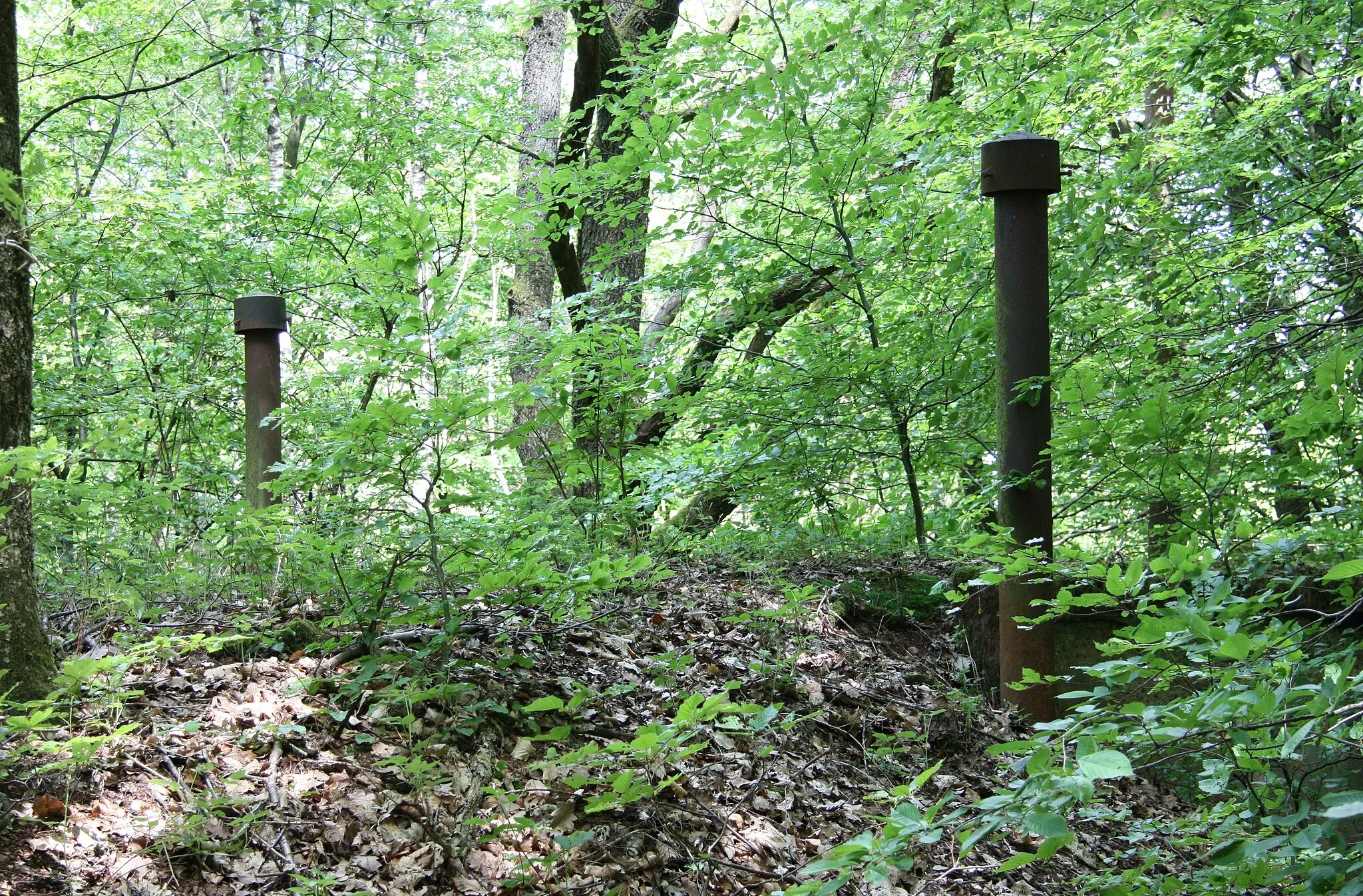 Photo showing: aufgegebener Hochbehälter Auf dem Gehren in Namborn.