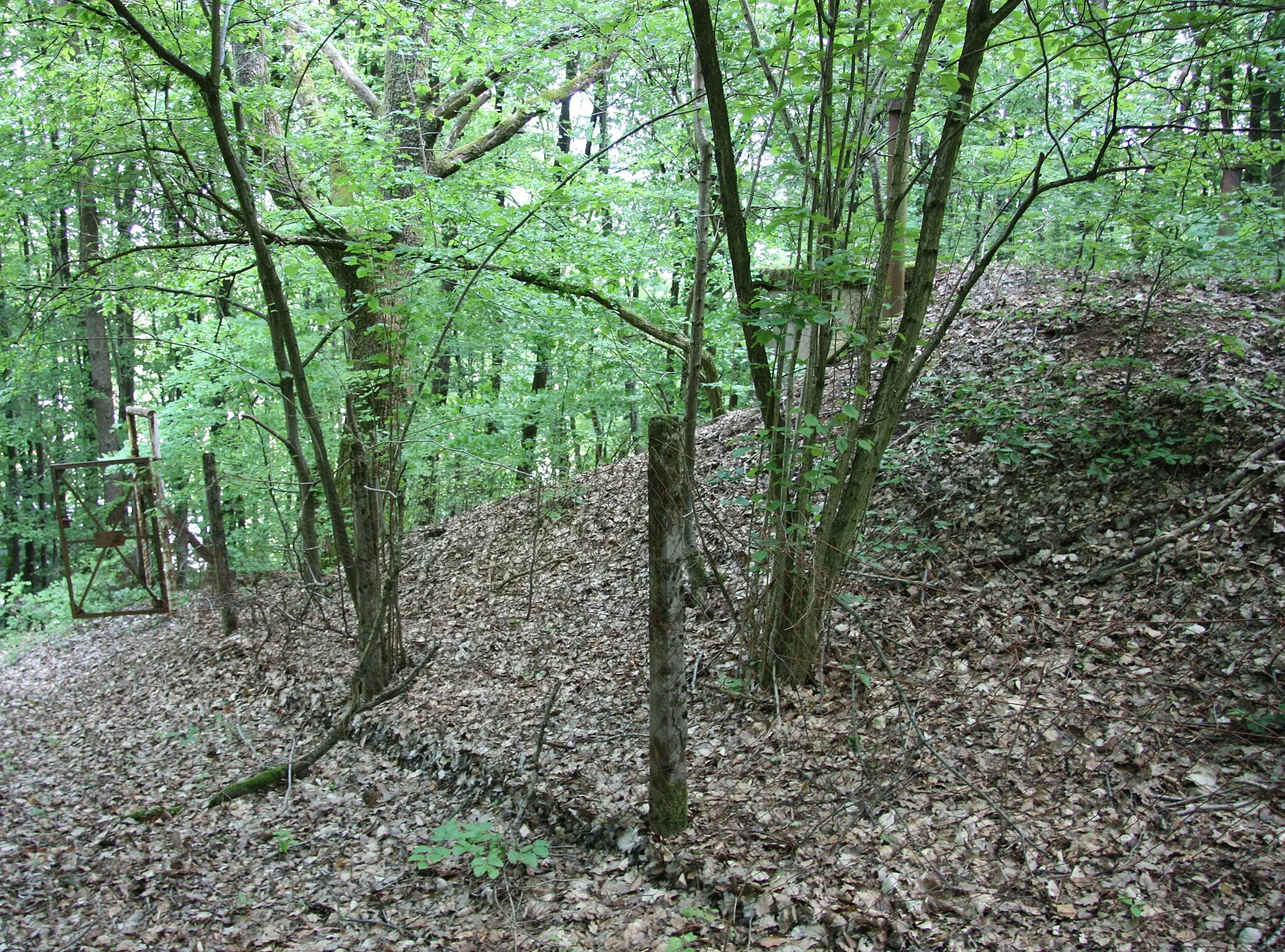 Photo showing: aufgegebener Hochbehälter Auf dem Gehren in Namborn.