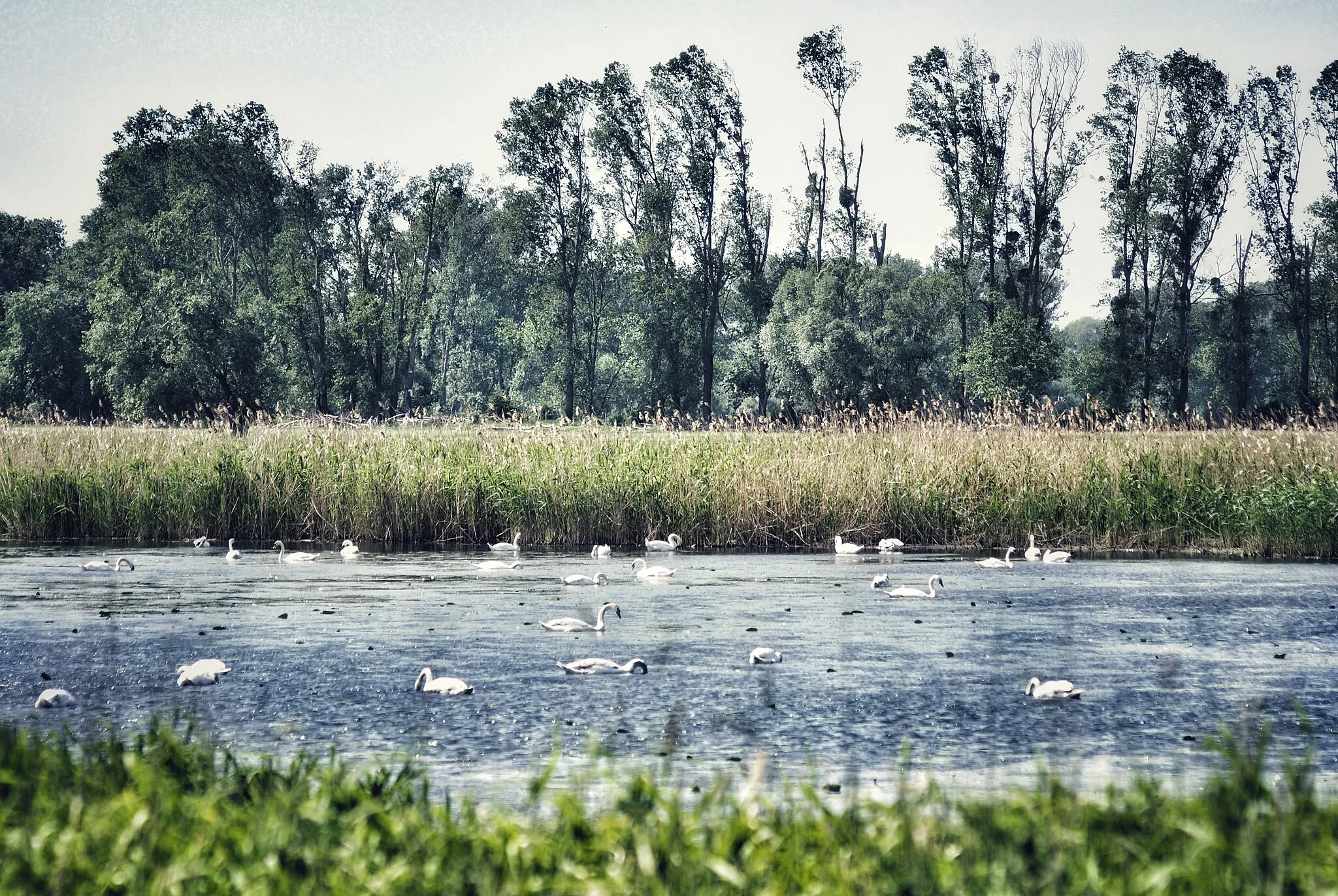 Bild von Sassonia-Anhalt